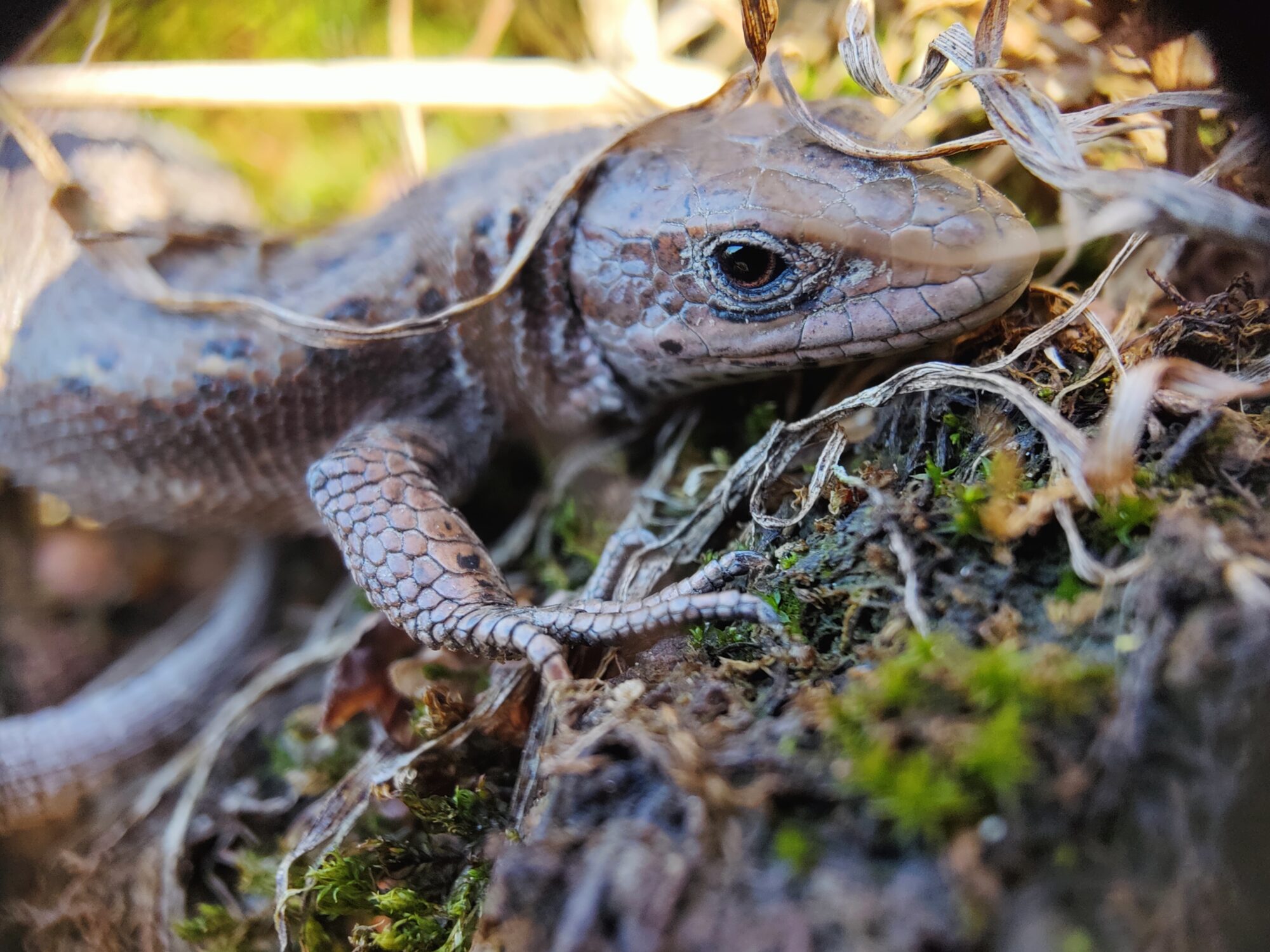 Valokuvaaja: Seppo Tolin