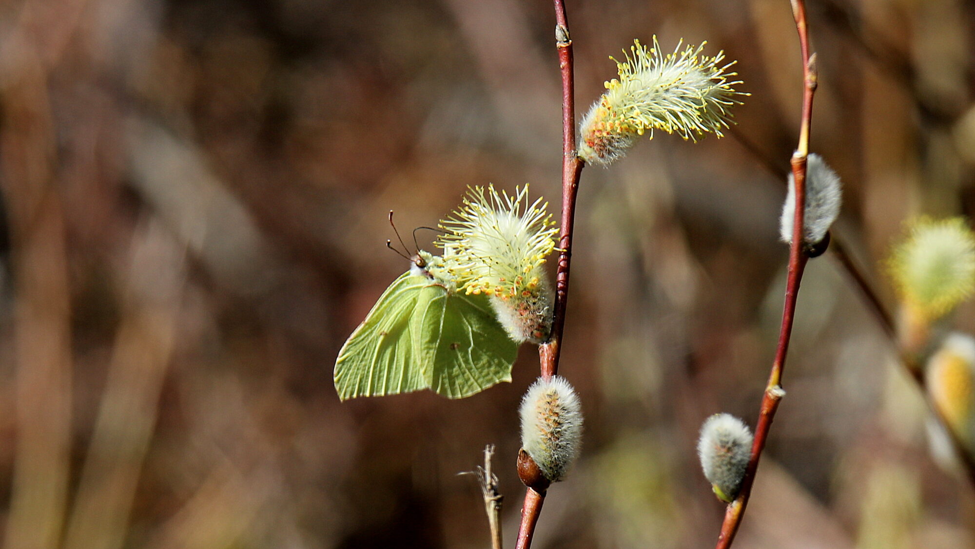 Valokuvaaja: sirpa Jyske