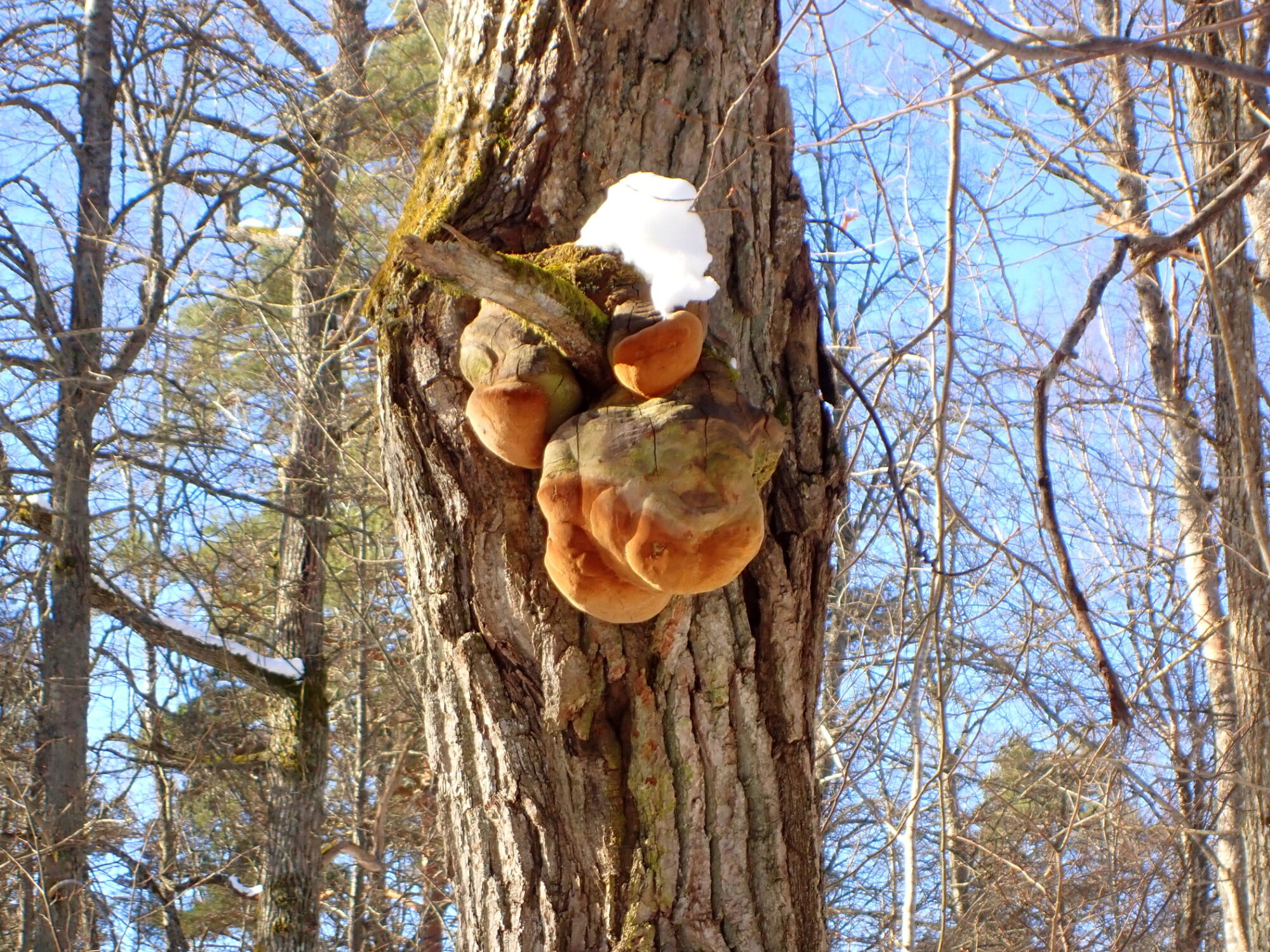 Valokuvaaja: Kari Aaltonen, Salo