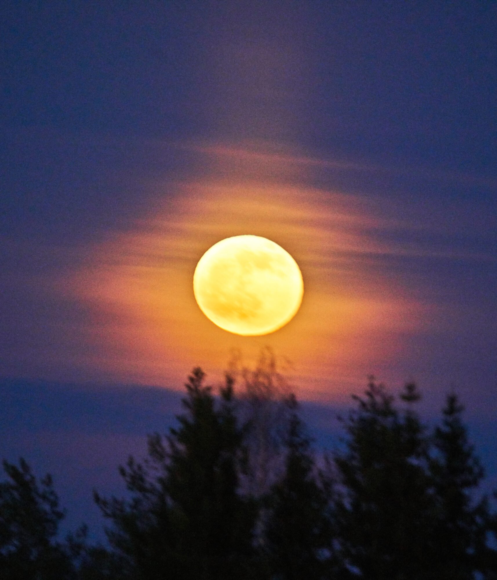 Valokuvaaja: Tarja Kouvo