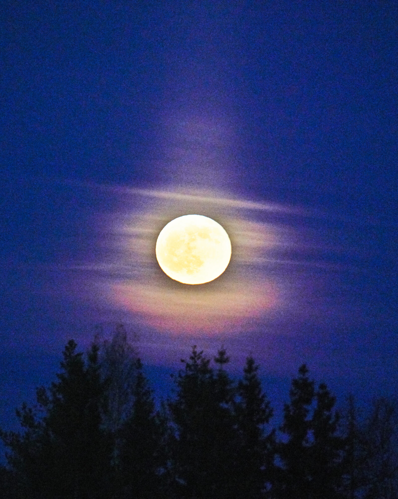 Valokuvaaja: Tarja Kouvo