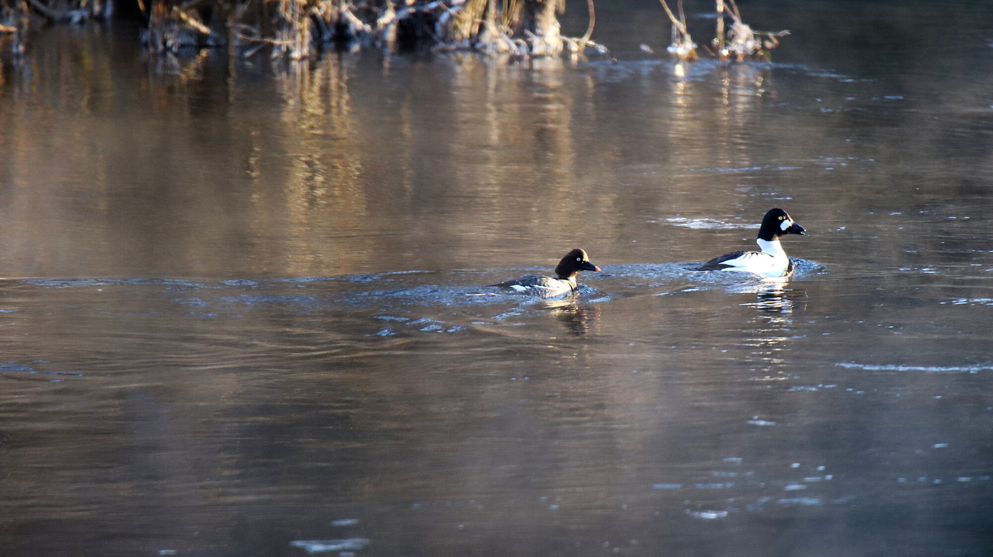 Valokuvaaja: sirpa Jyske