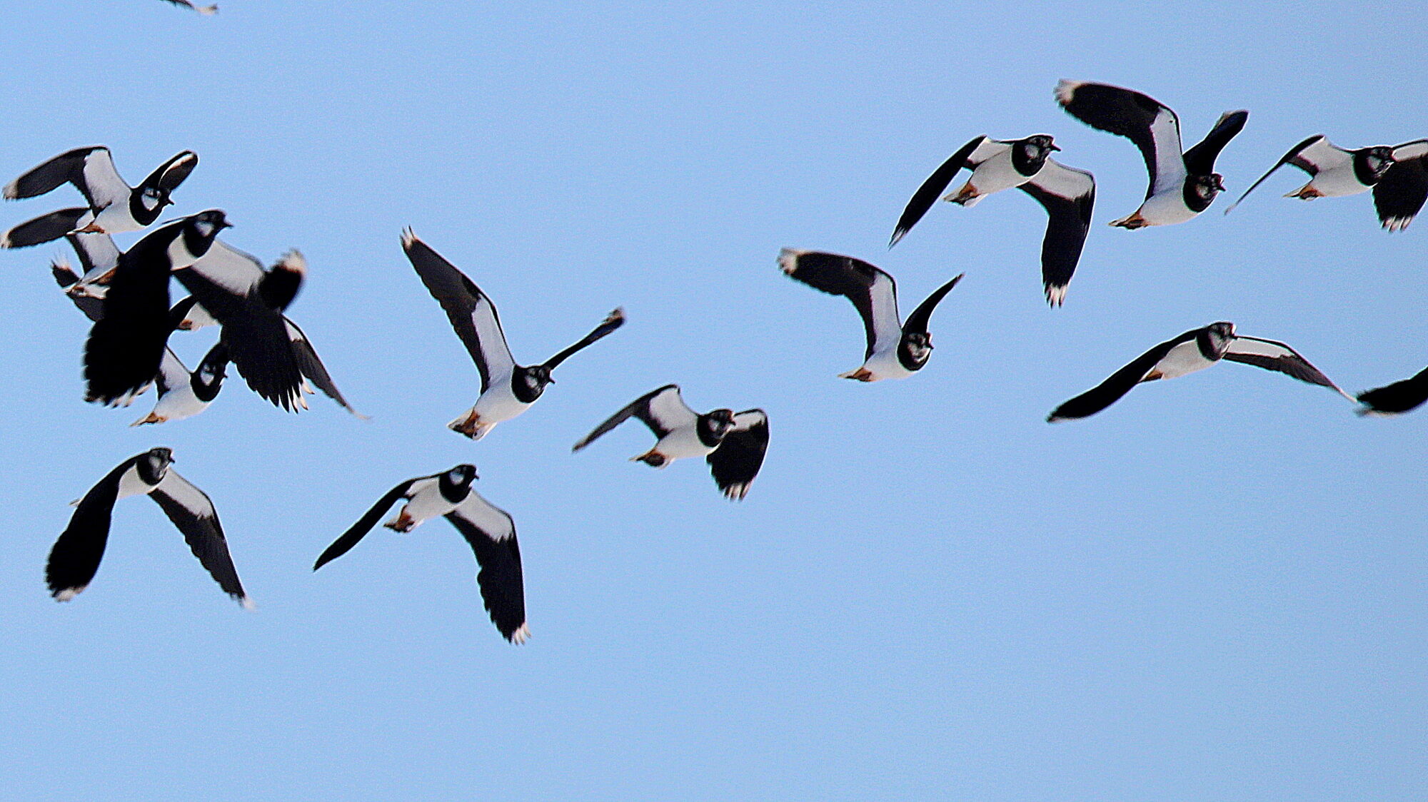Valokuvaaja: sirpa Jyske