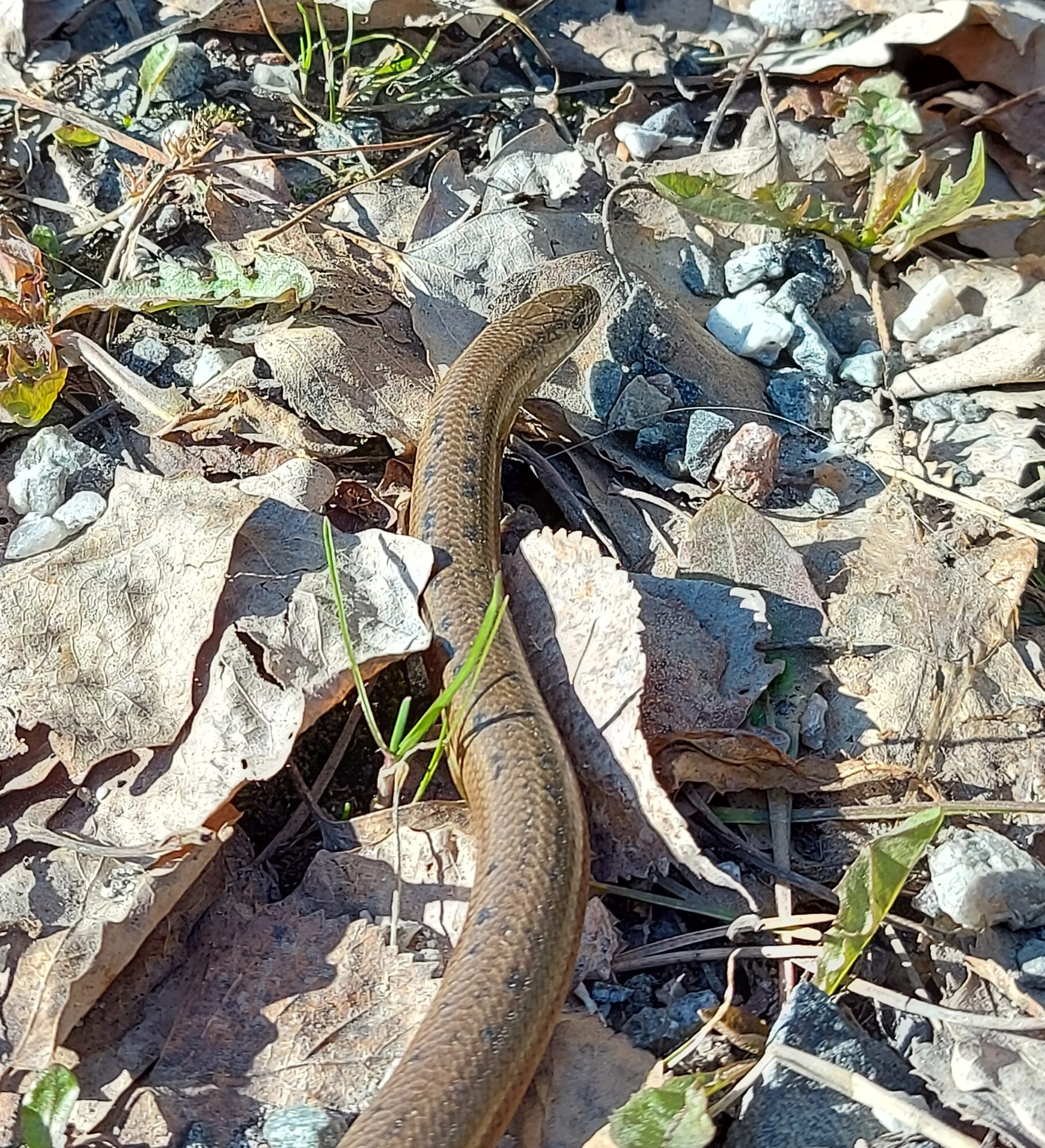 Valokuvaaja: Ilona Ahremaa