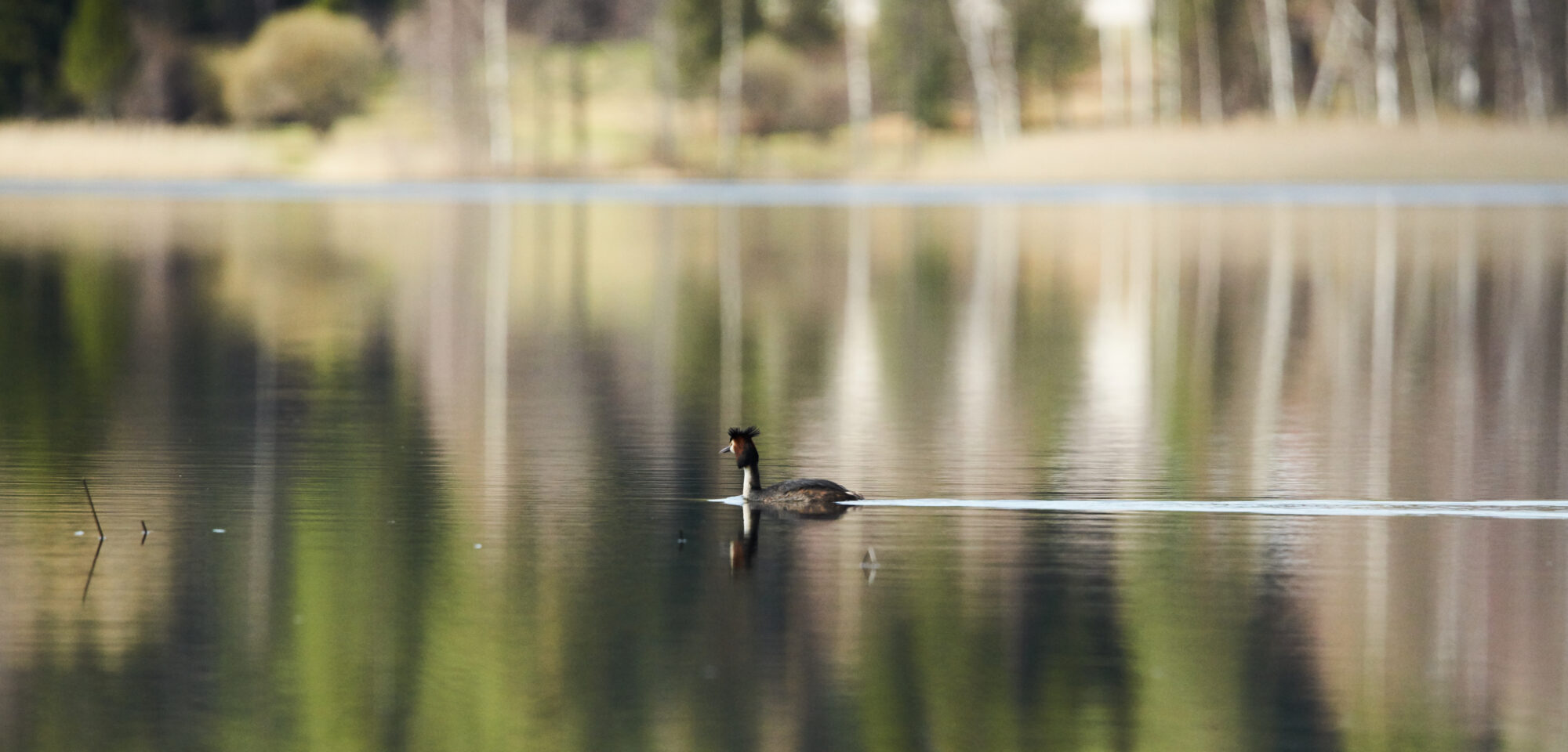 Valokuvaaja: Tarja Kouvo