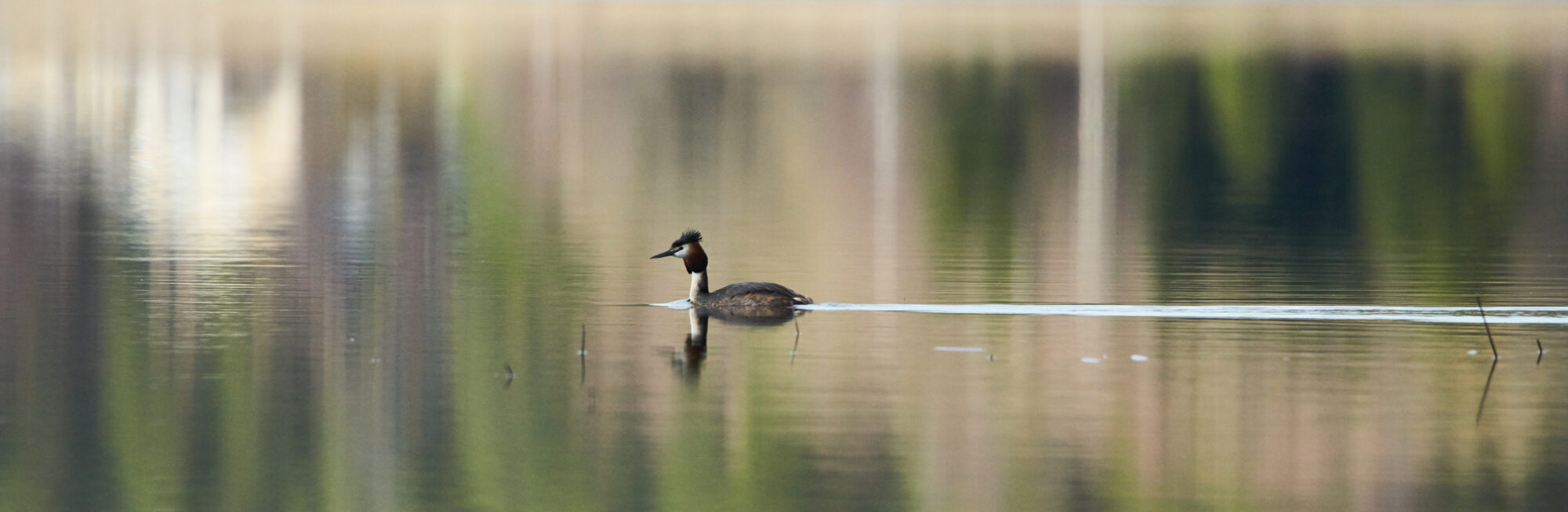Valokuvaaja: Tarja Kouvo
