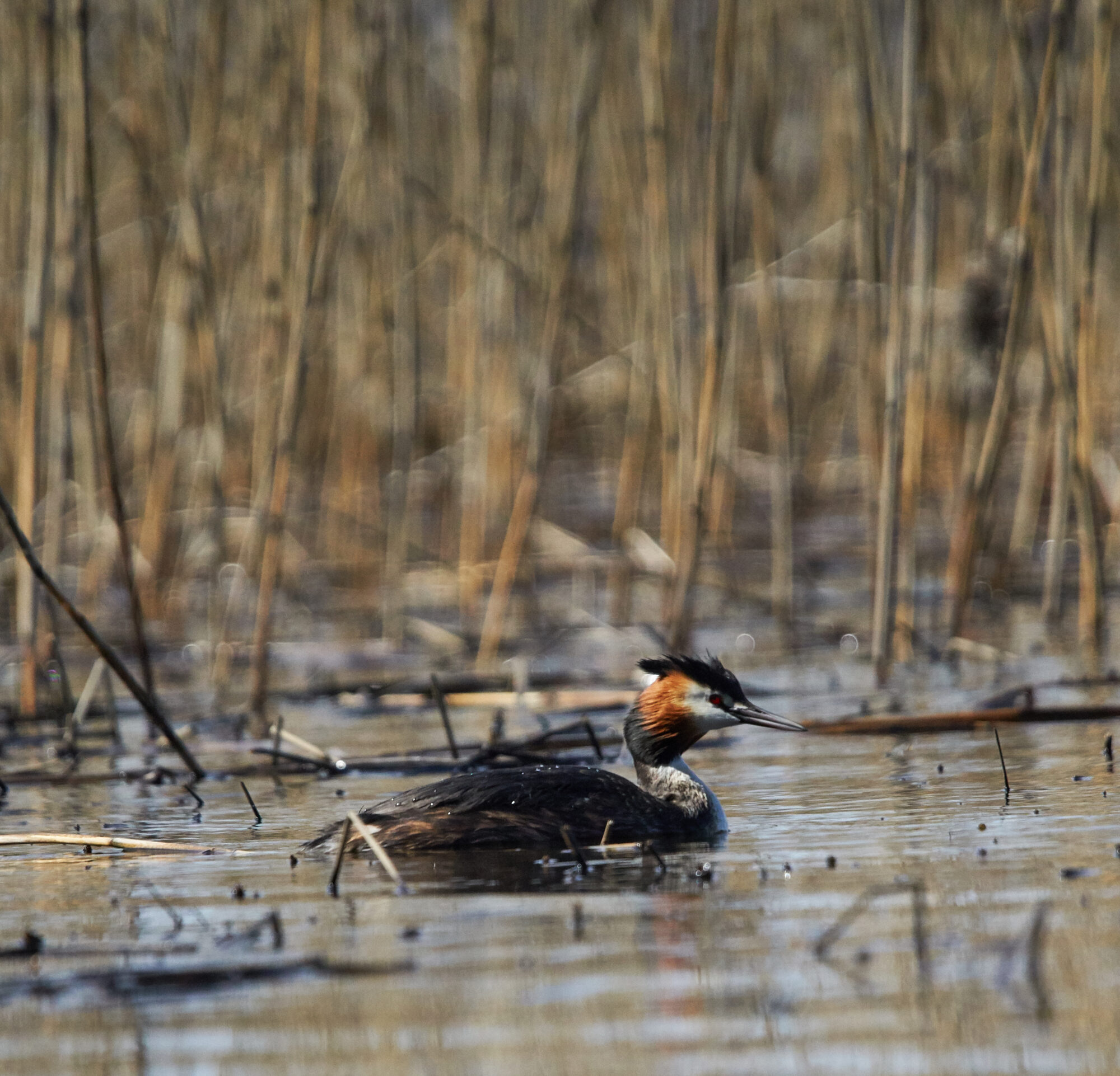 Valokuvaaja: Tarja Kouvo