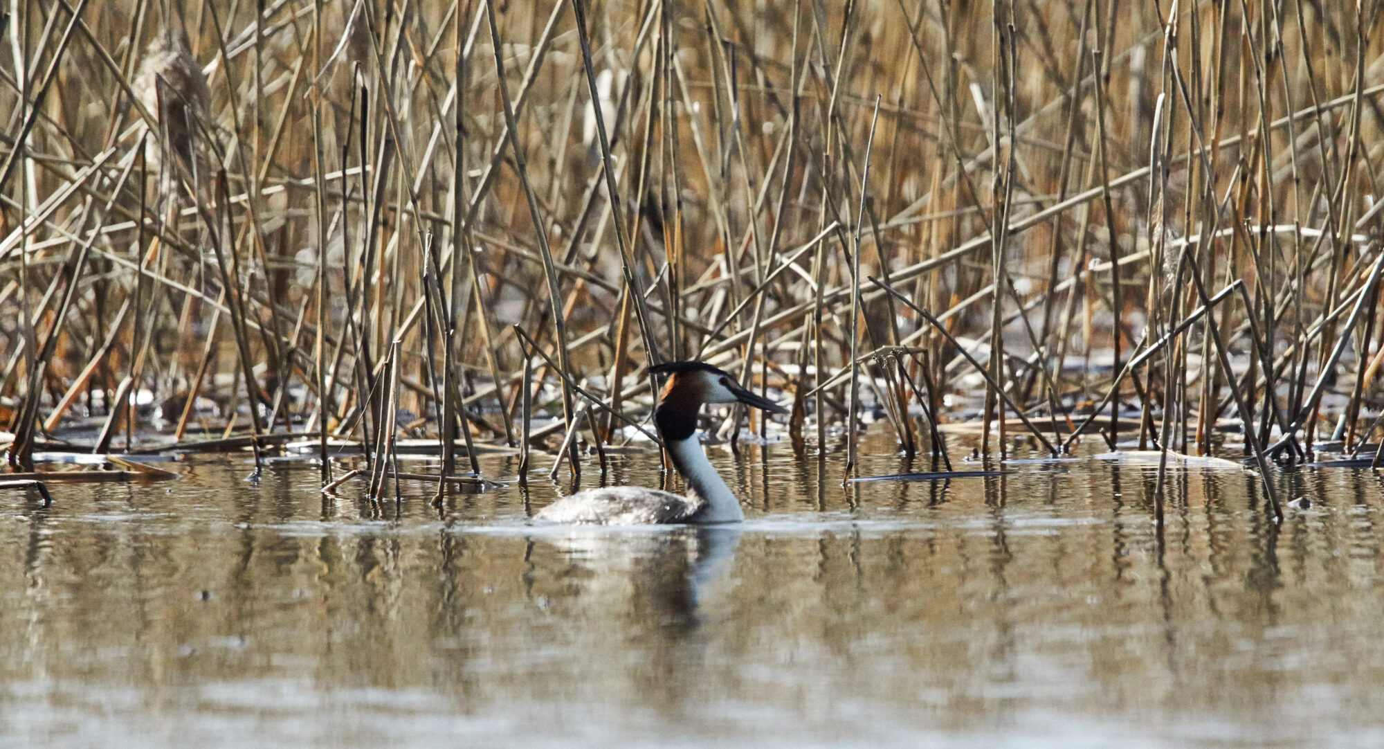Valokuvaaja: Tarja Kouvo