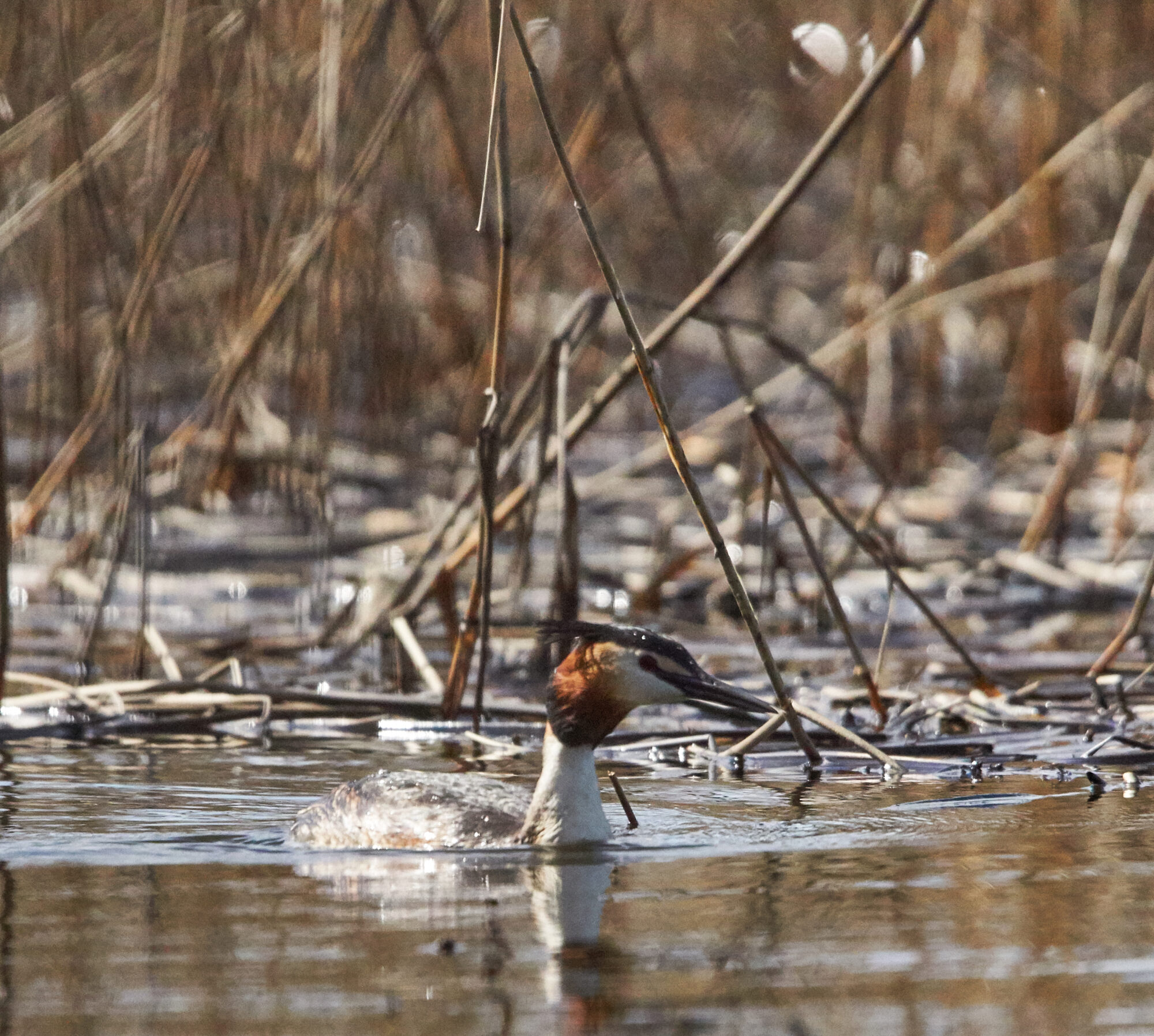 Valokuvaaja: Tarja Kouvo