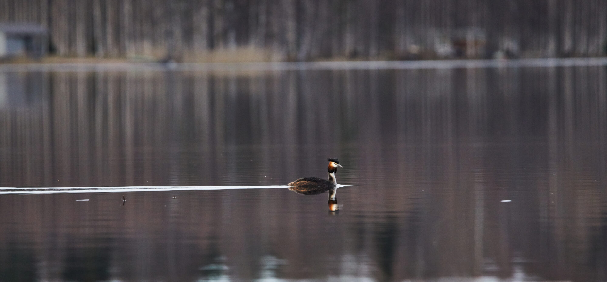 Valokuvaaja: Tarja Kouvo