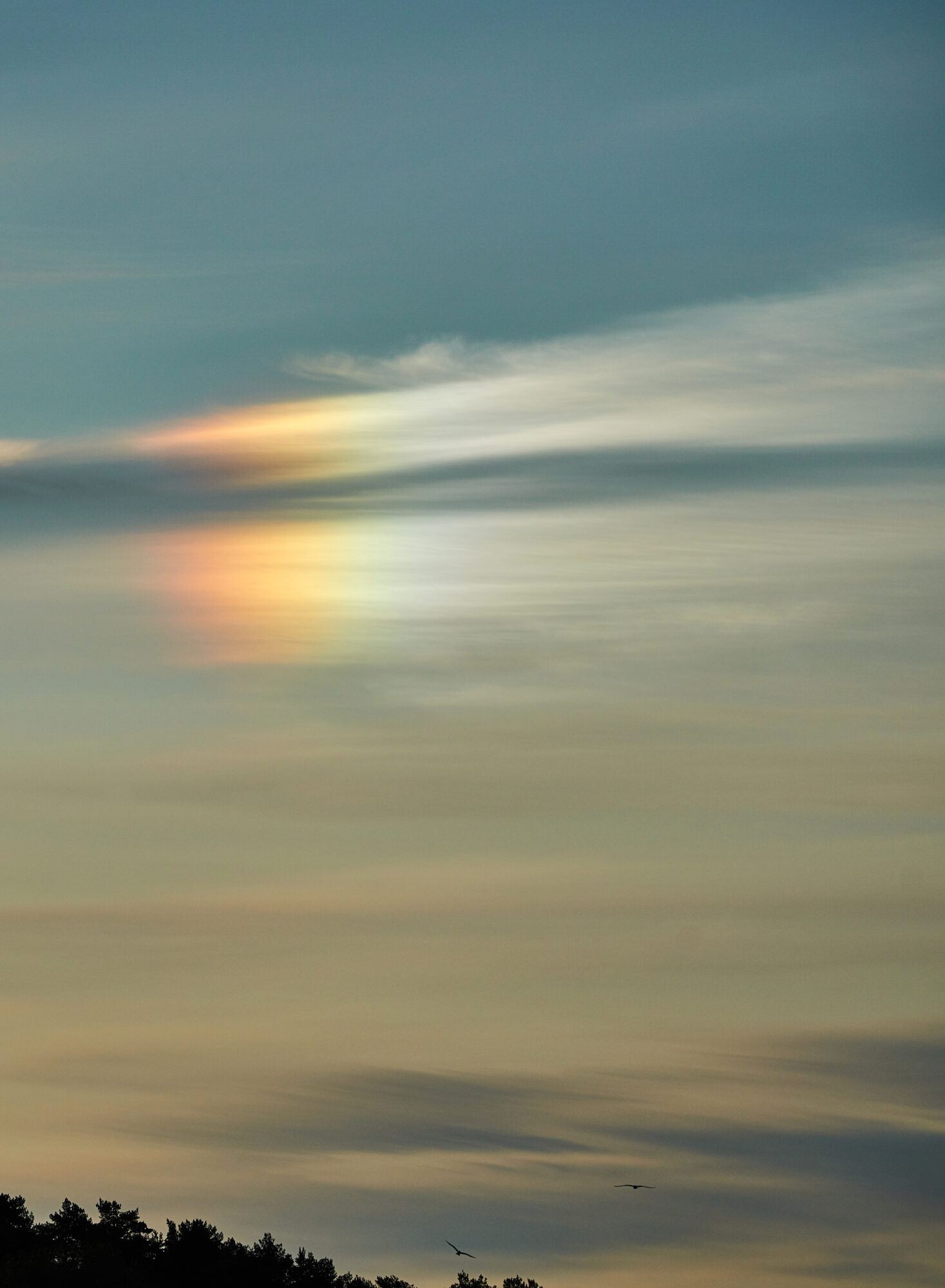 Valokuvaaja: Tarja Kouvo Valokuvaaja: Tarja Kouvo