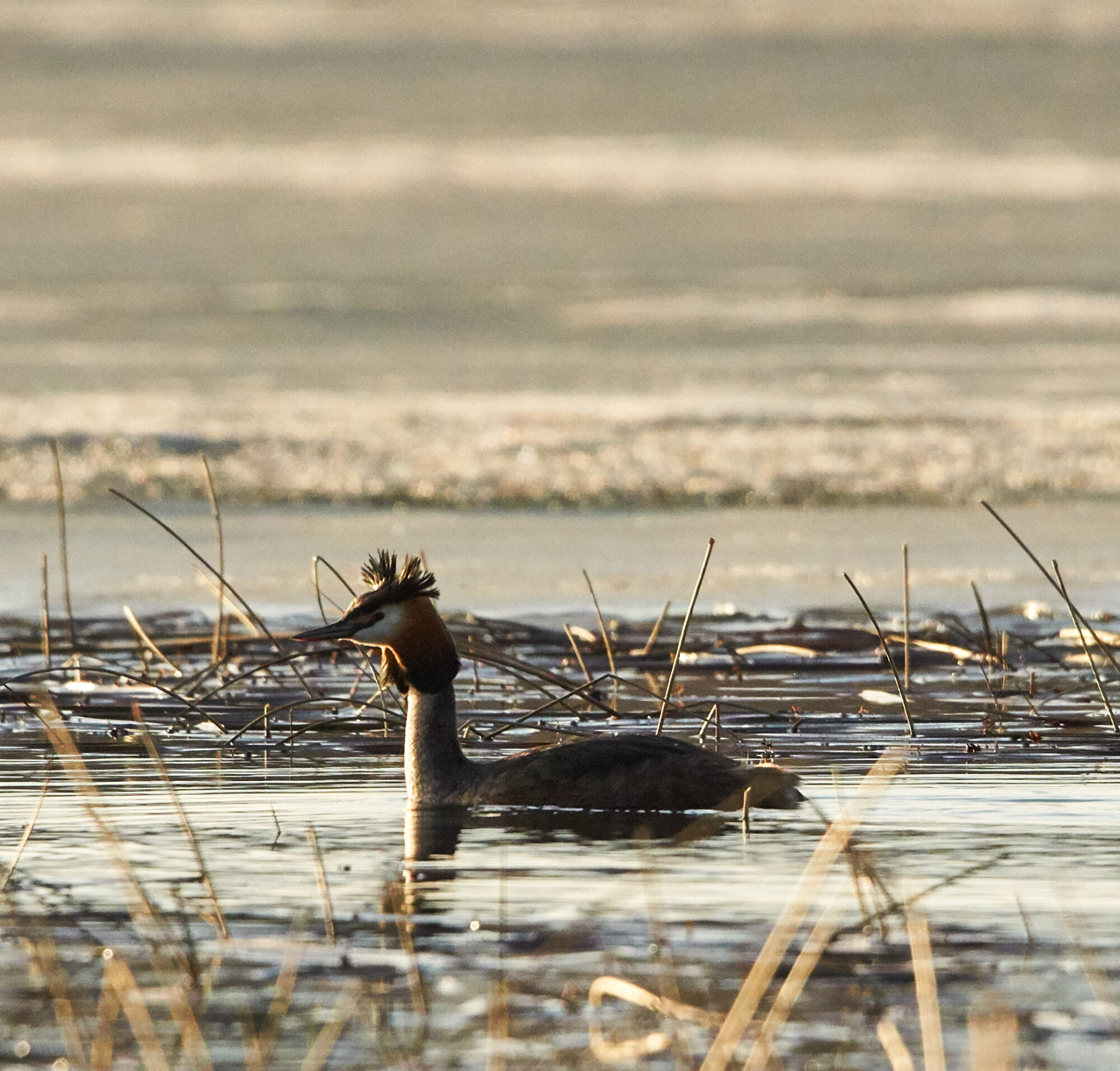 Valokuvaaja: Tarja Kouvo