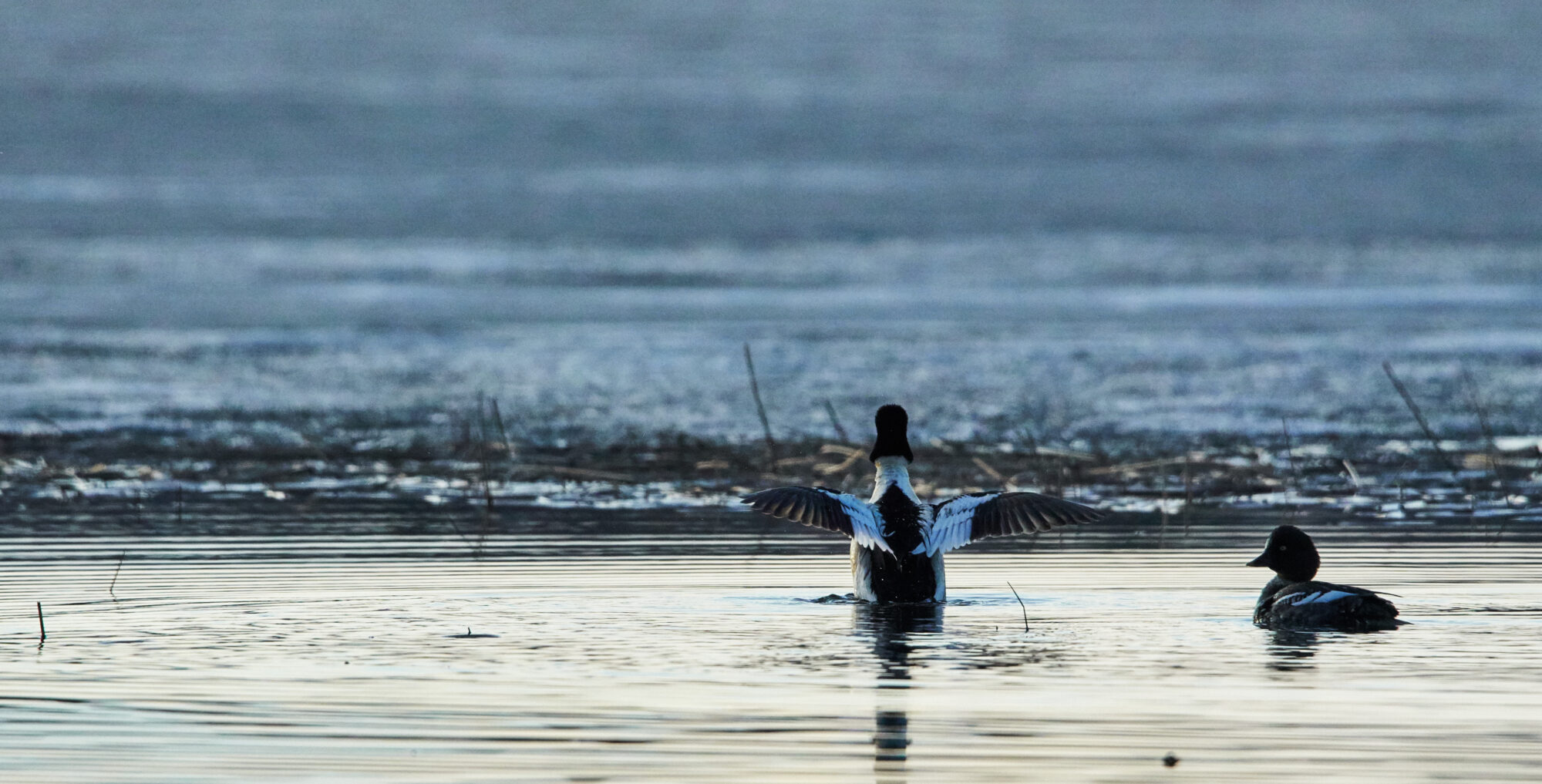Valokuvaaja: Tarja Kouvo