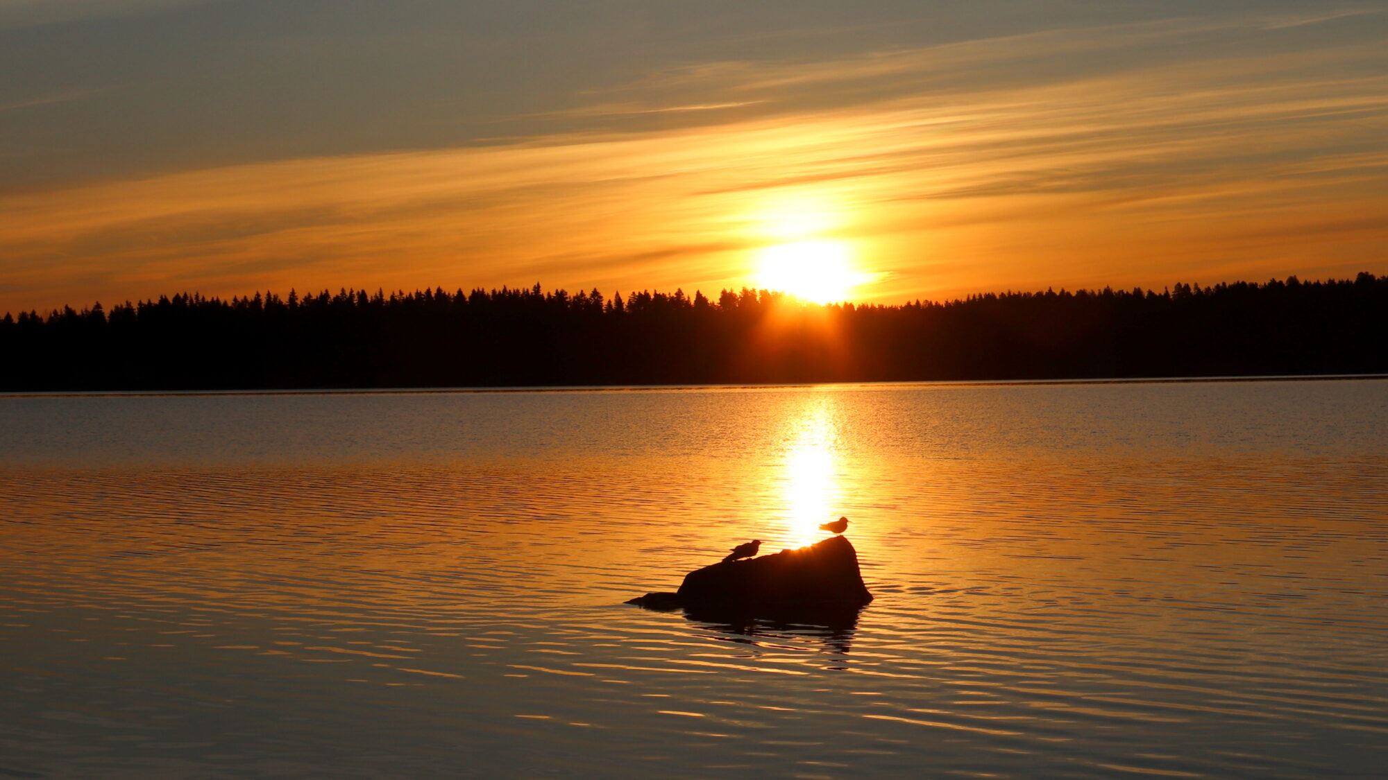 Valokuvaaja: sirpa Jyske