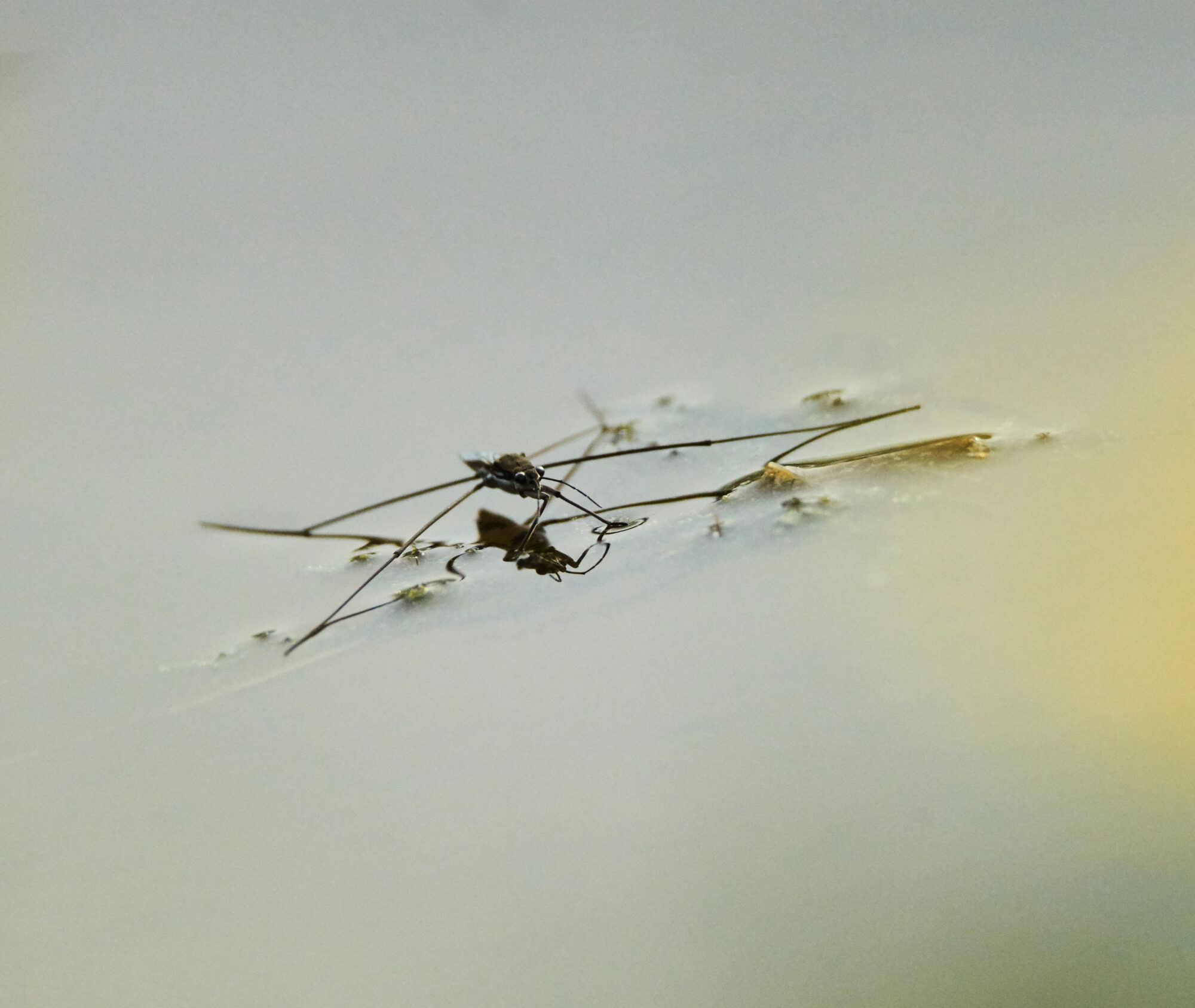 Valokuvaaja: Tarja Kouvo