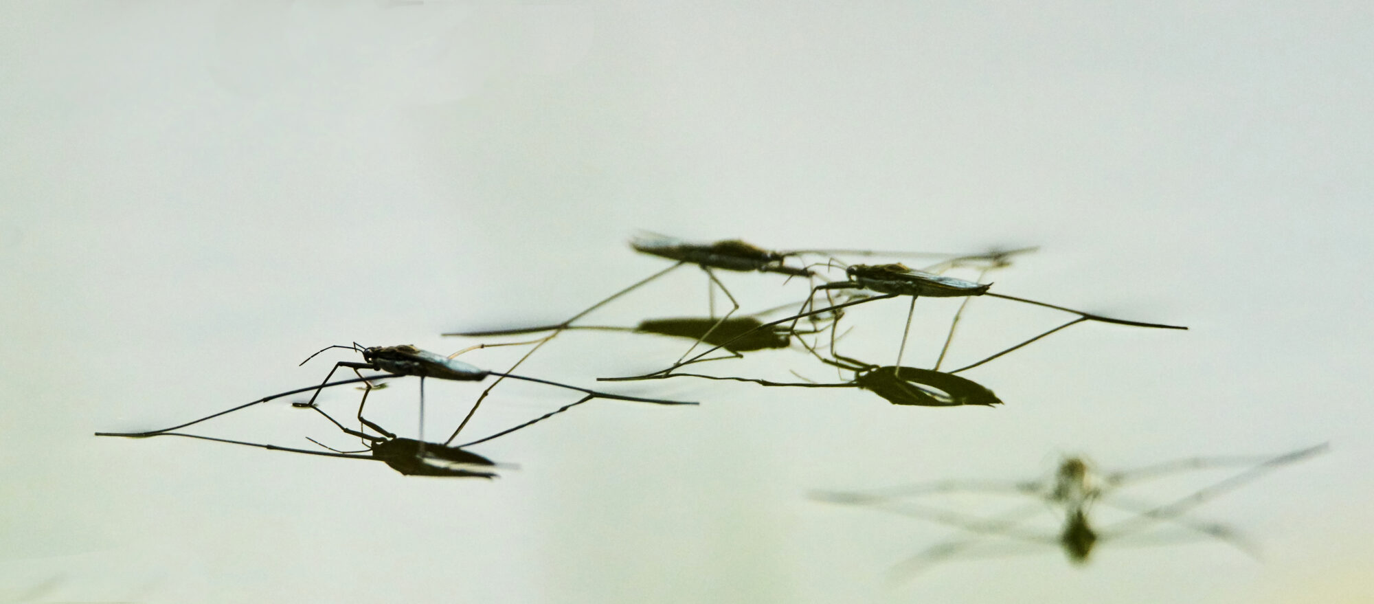 Valokuvaaja: Tarja Kouvo