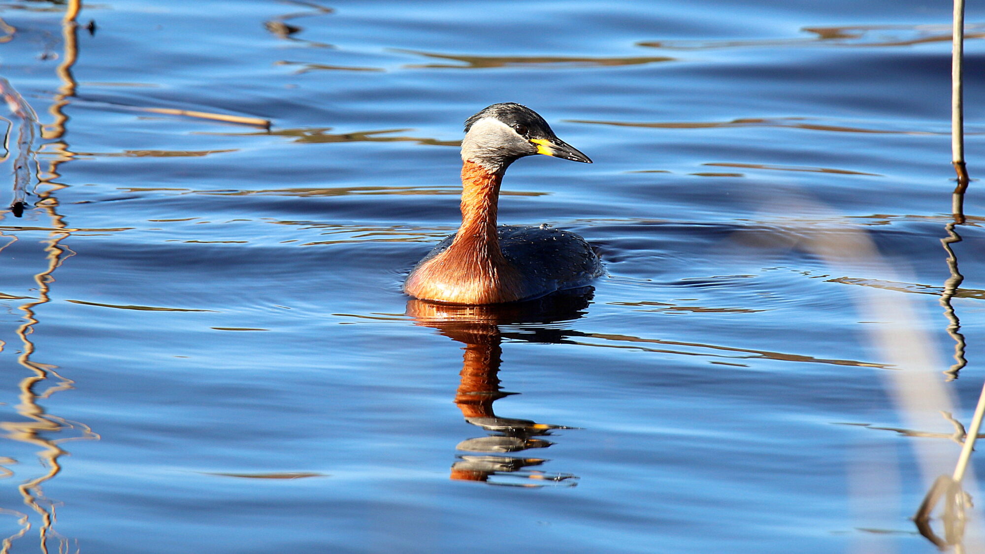 Valokuvaaja: sirpa Jyske