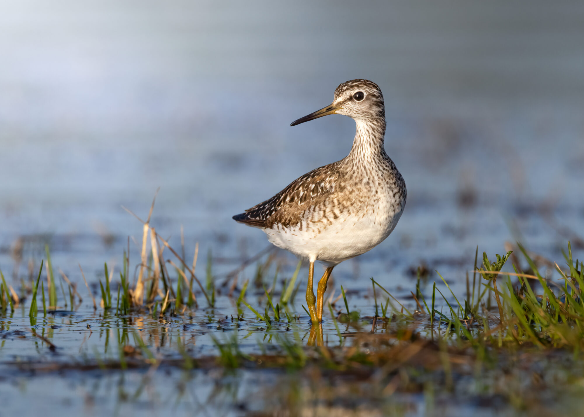 Valokuvaaja: Laura Lehtola