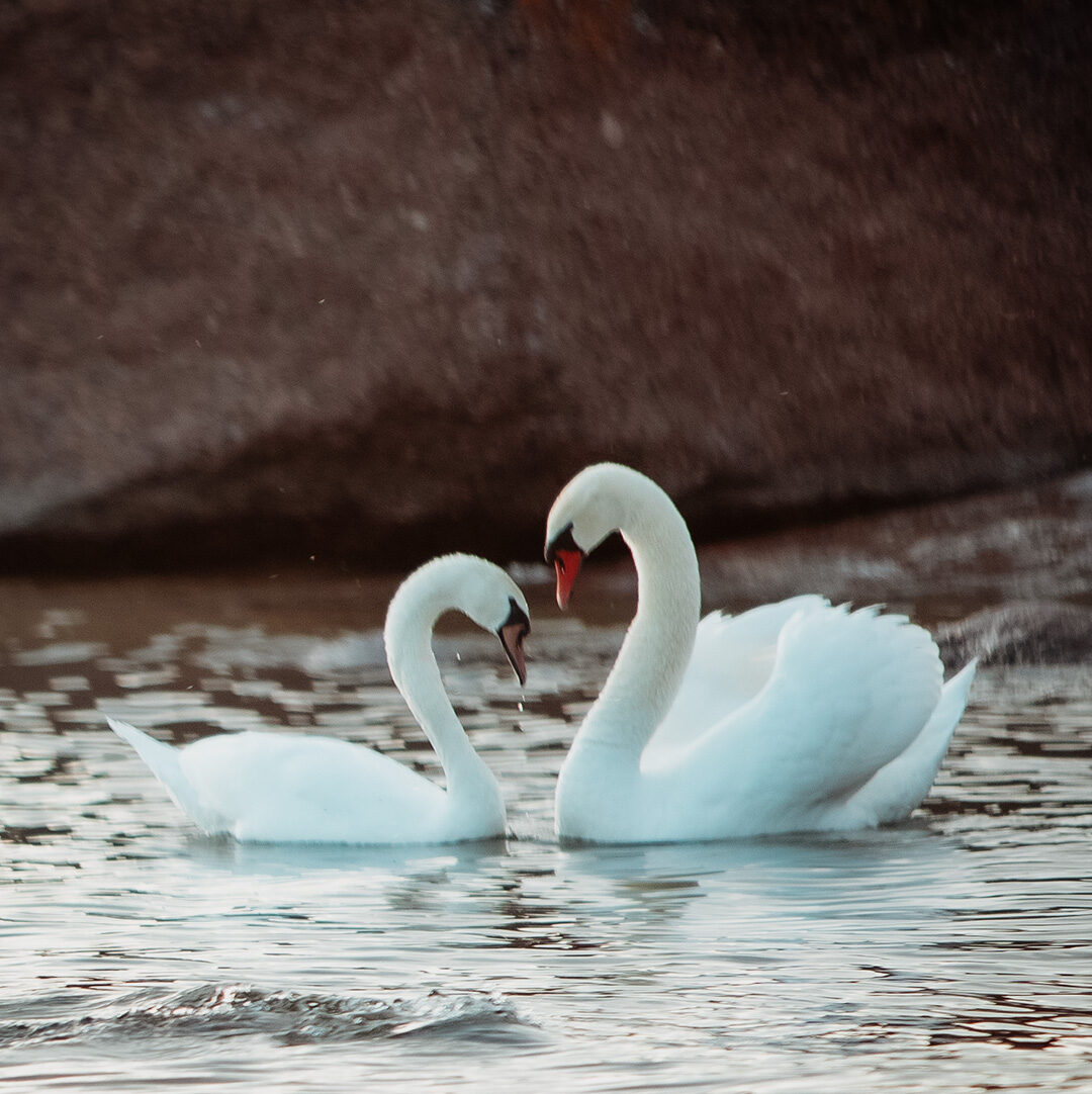 Valokuvaaja: Susanna Katajala