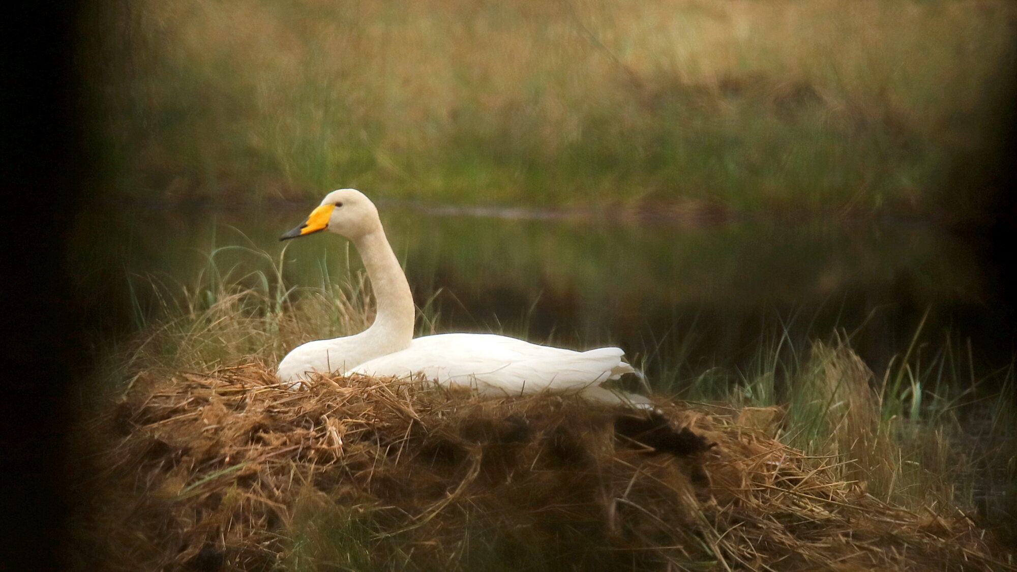 Valokuvaaja: sirpa Jyske