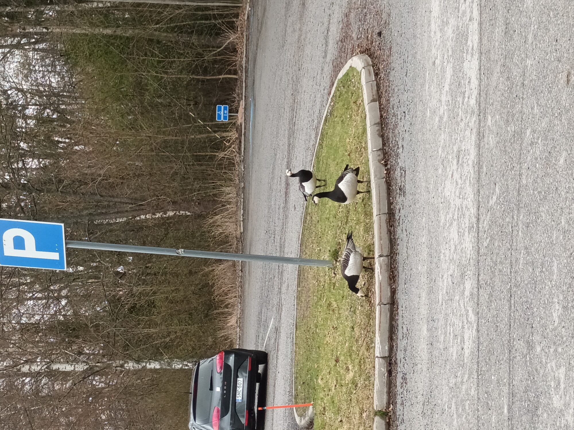 Valokuvaaja: Alvar Ilmonen Valokuvaaja: Alvar Ilmonen