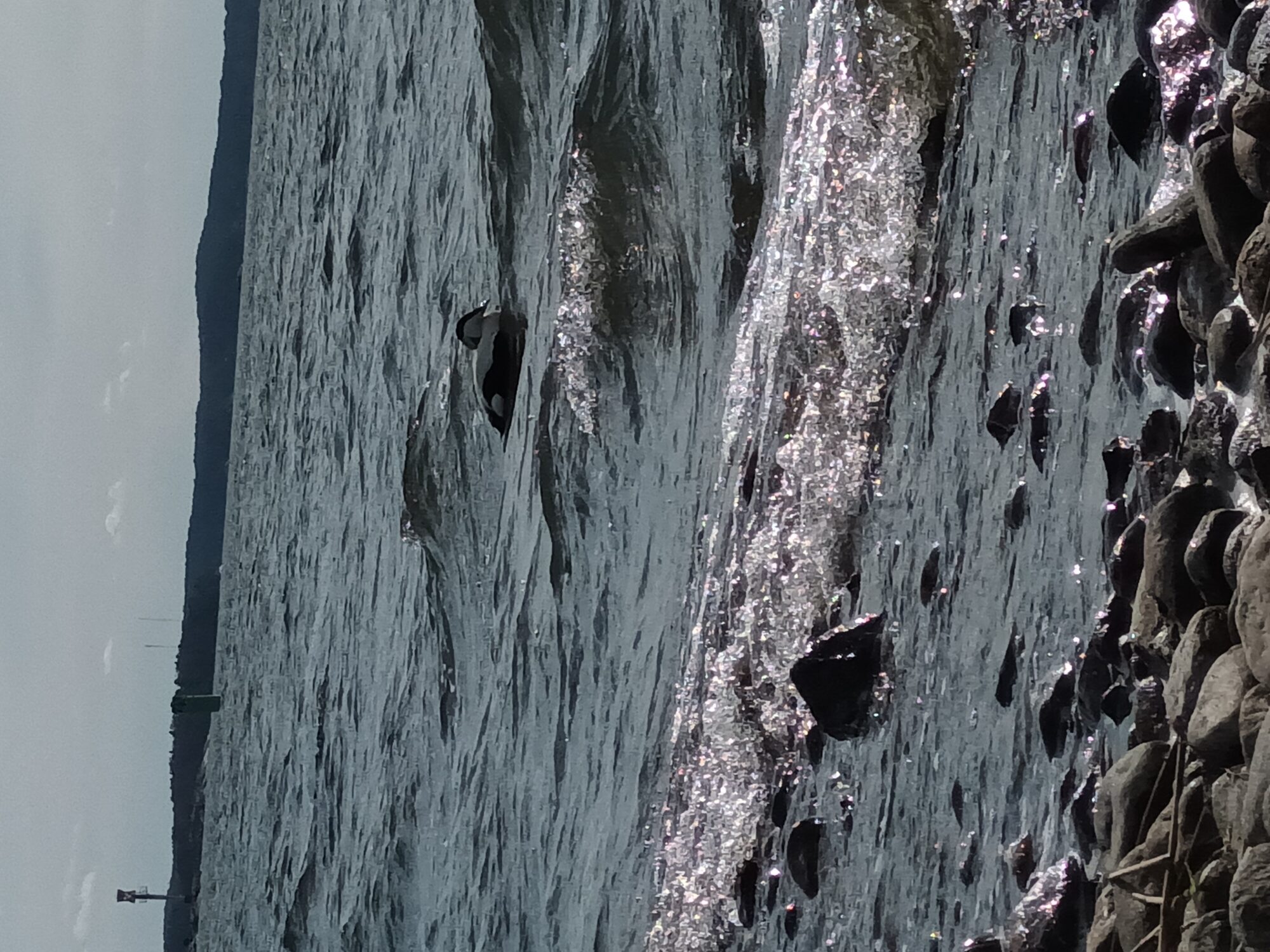 Valokuvaaja: Alvar Ilmonen