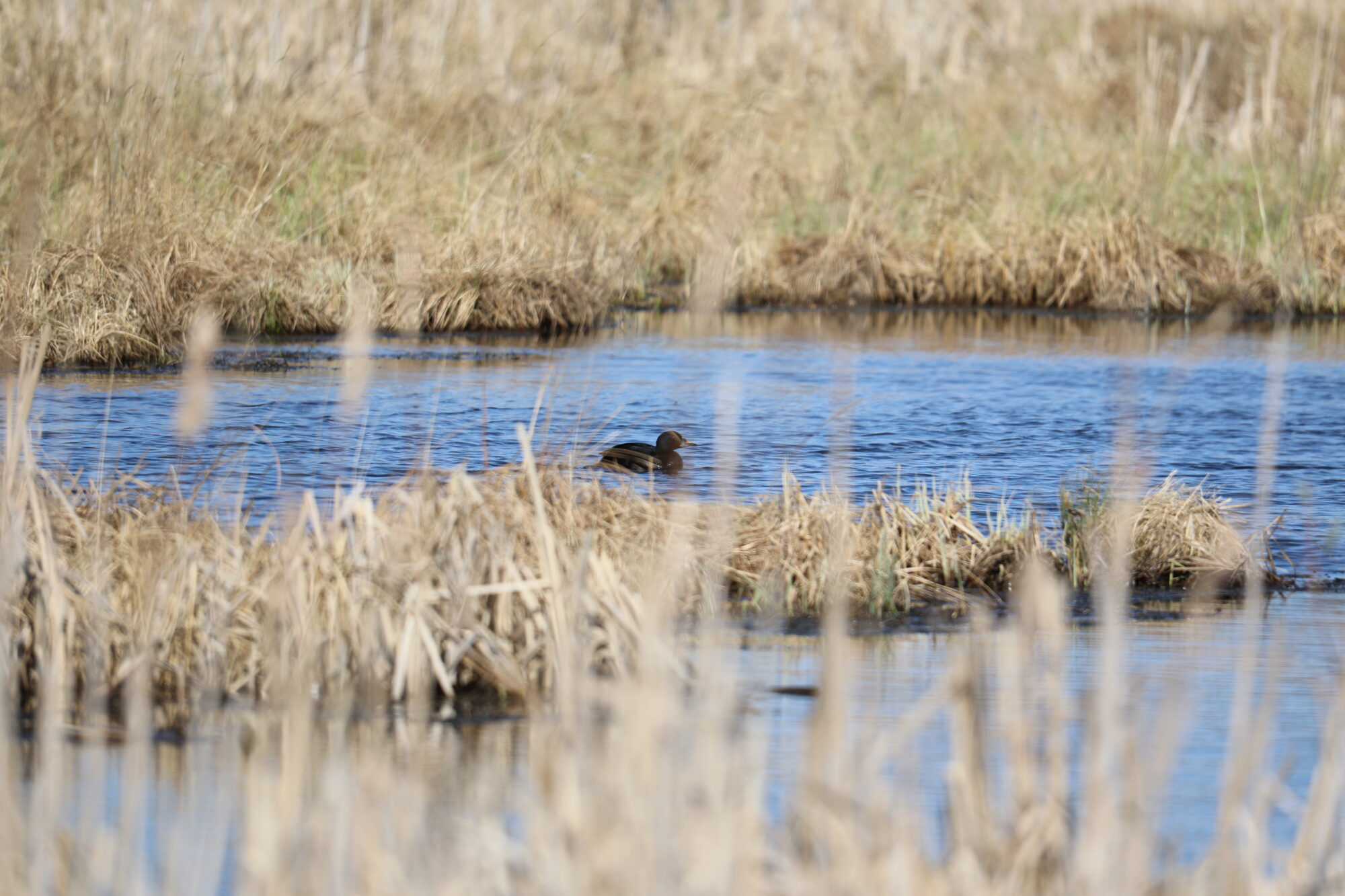 Valokuvaaja: Pasi Lähde