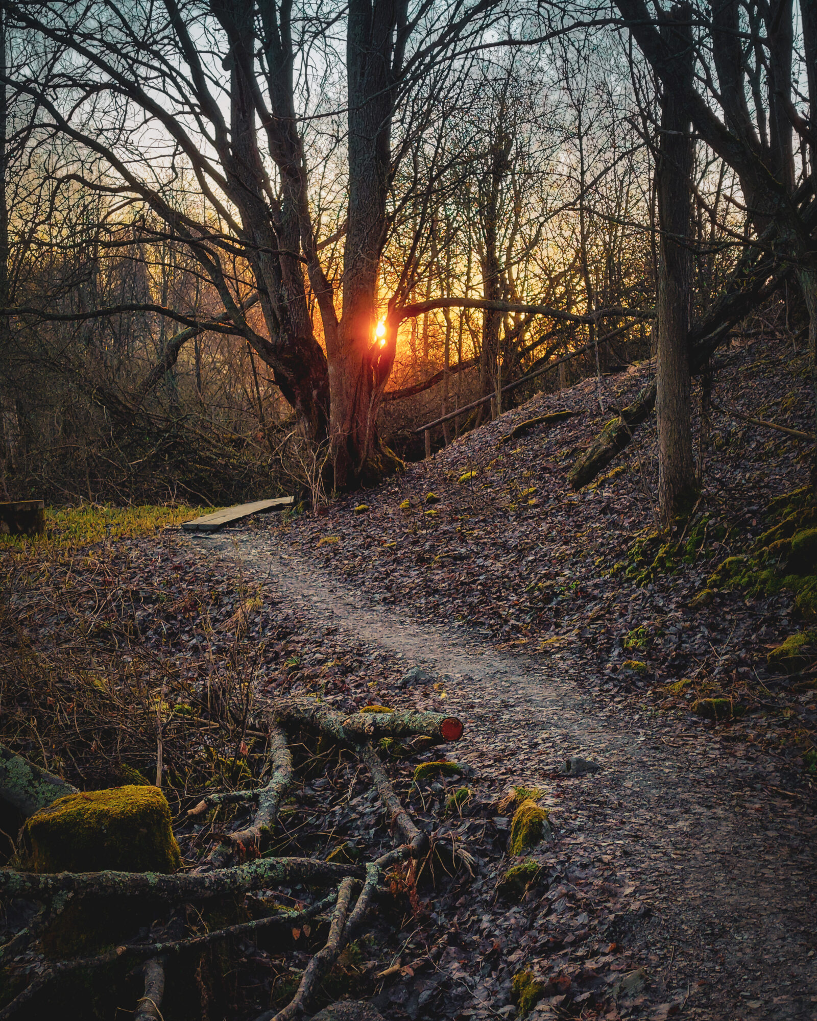 Valokuvaaja: Samu Aaramaa Photography