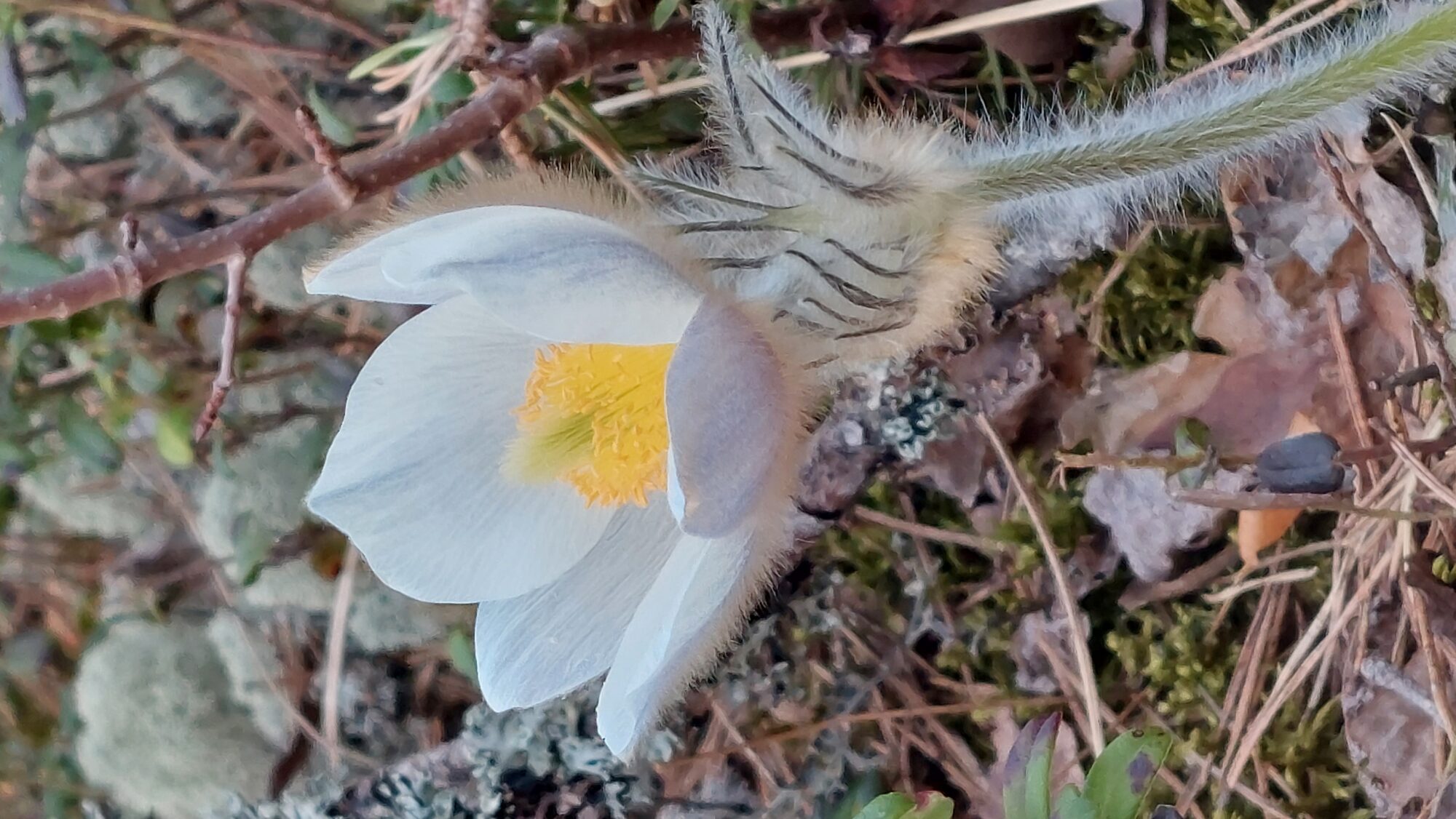 Valokuvaaja: Tarja Naukkarinen