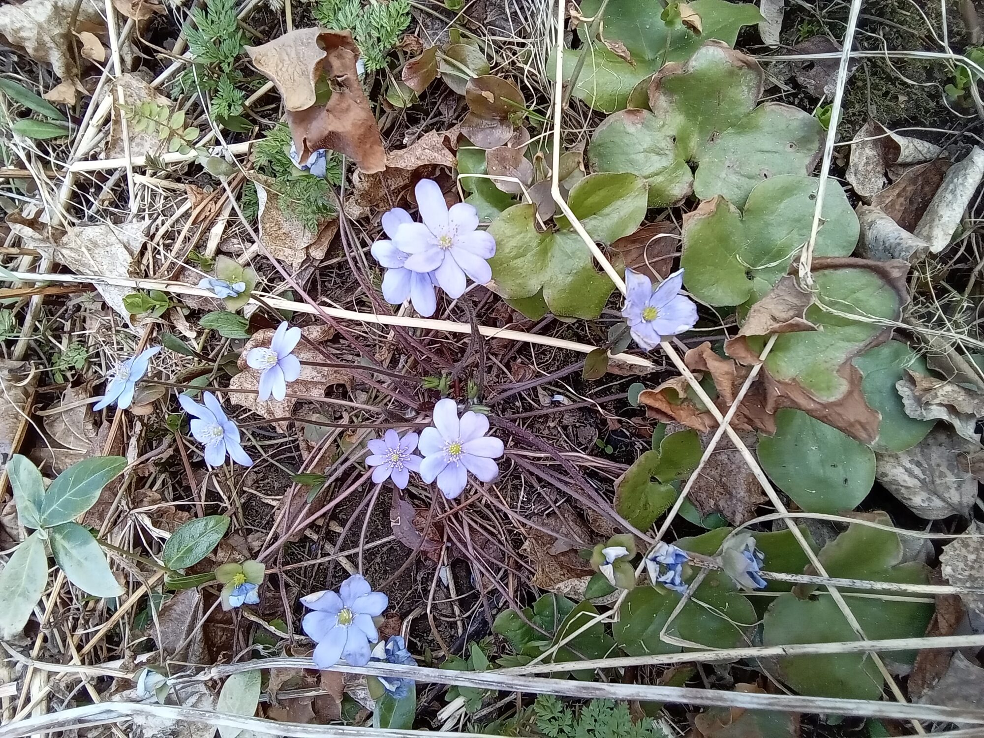 Valokuvaaja: Eija Johanna Saastamoinen