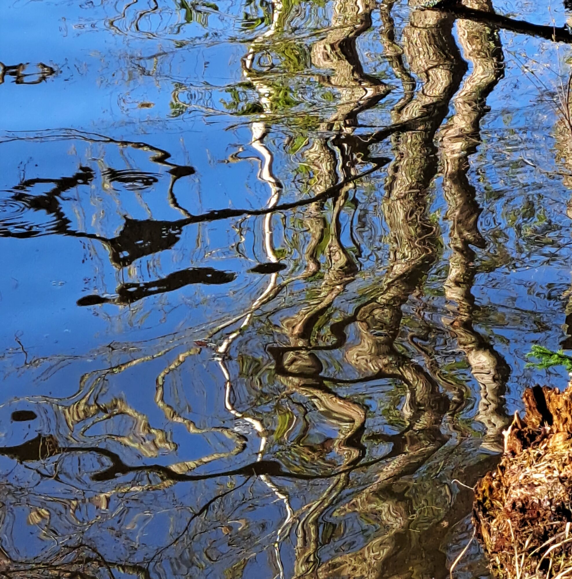 Valokuvaaja: Irja Lehtinen