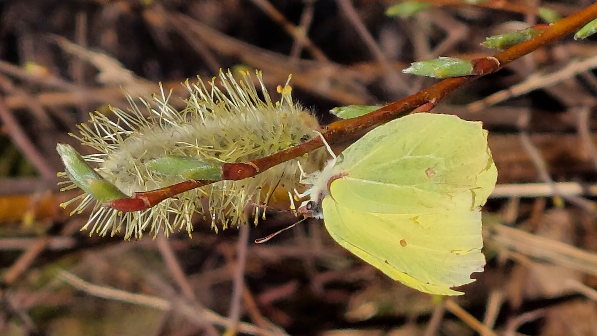 Valokuvaaja: Tarja Naukkarinen