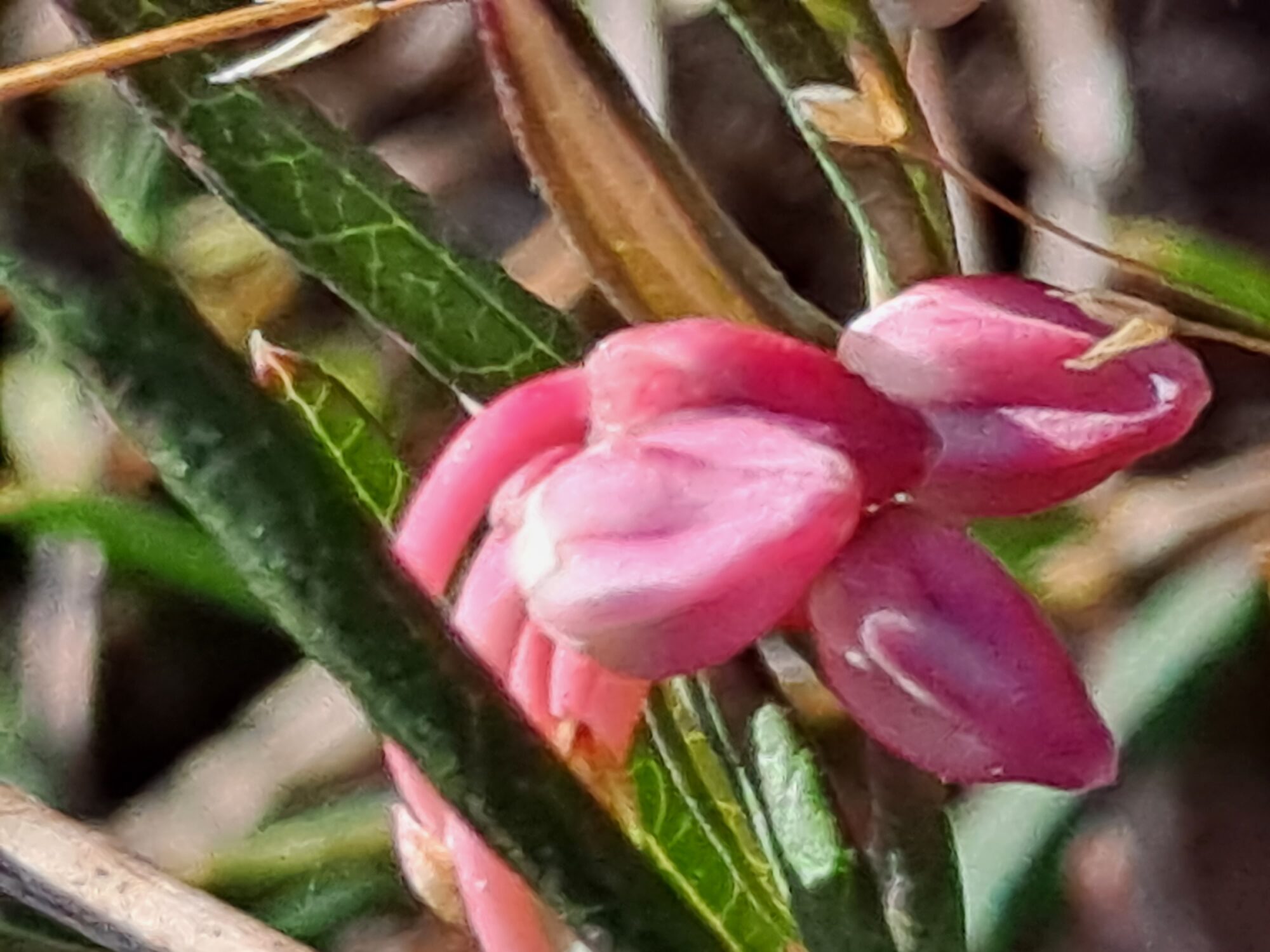 Valokuvaaja: Satu Suuntala