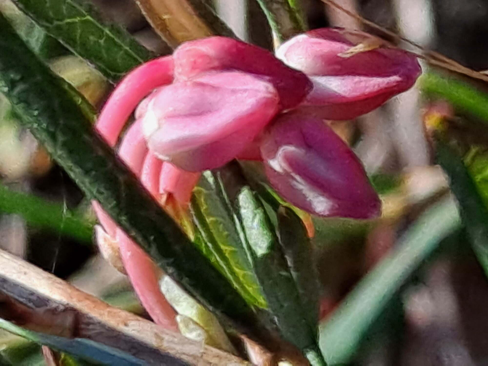 Valokuvaaja: Satu Suuntala