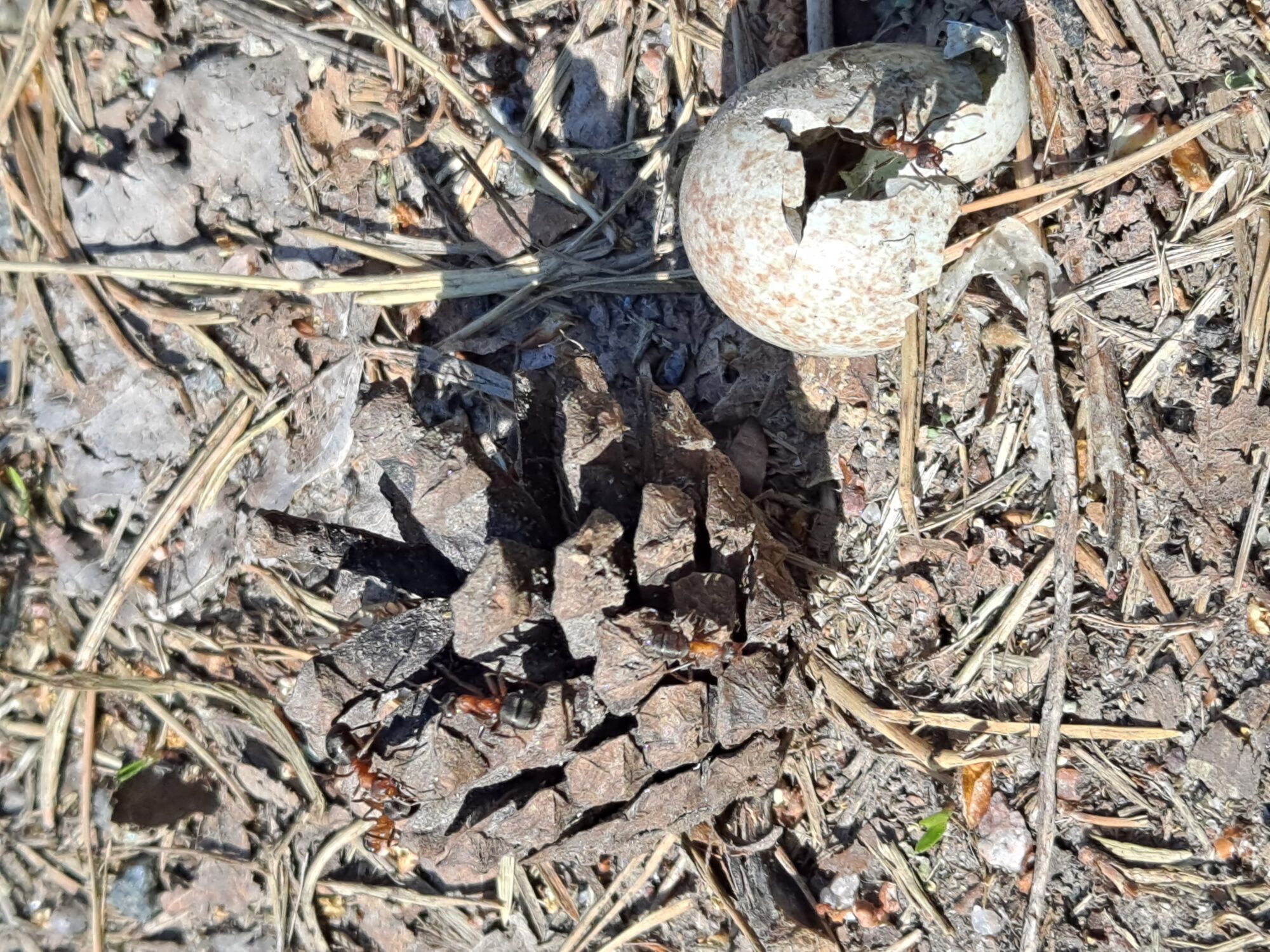 Valokuvaaja: Satu Suuntala