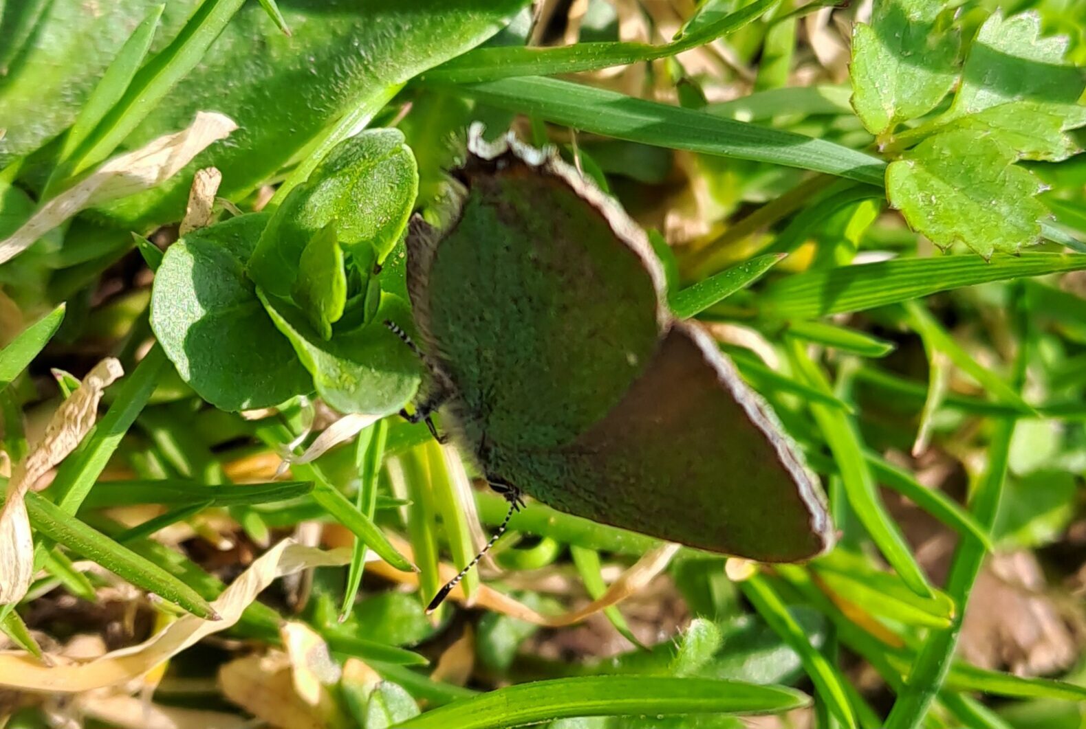 Valokuvaaja: Eija Johanna Saastamoinen