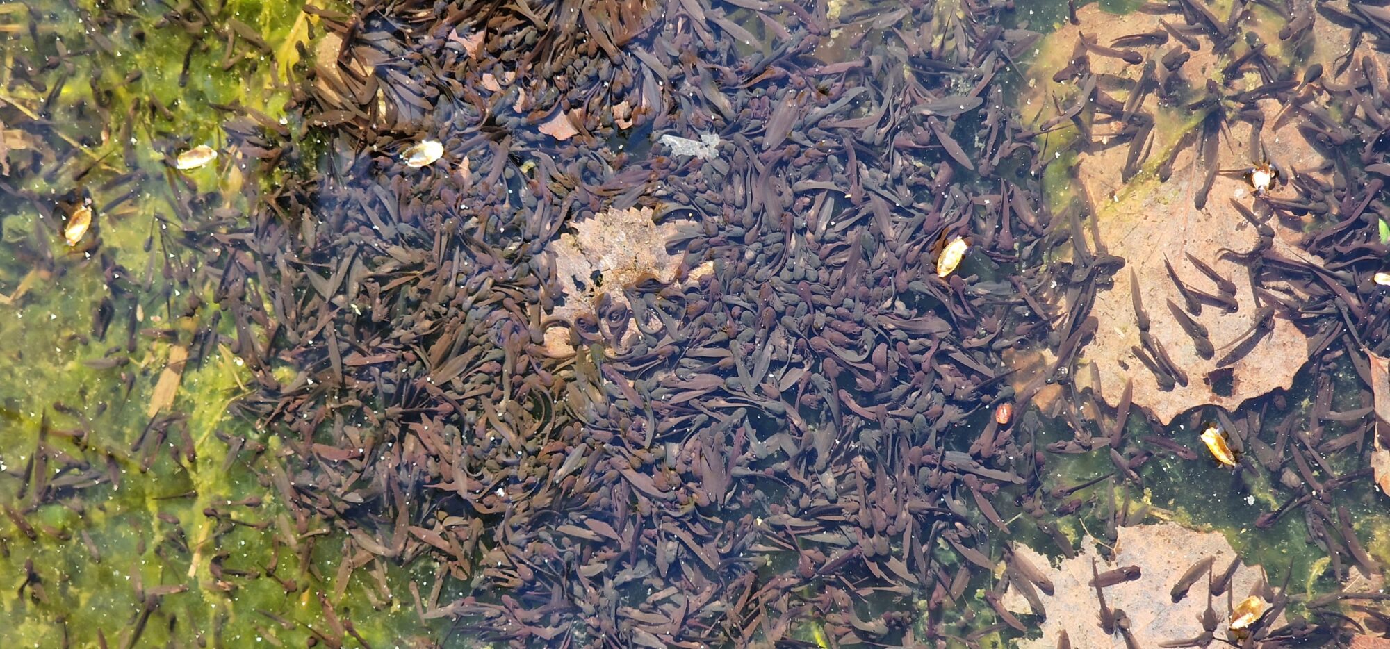 Valokuvaaja: Hanna Rönty Valokuvaaja: Hanna Rönty