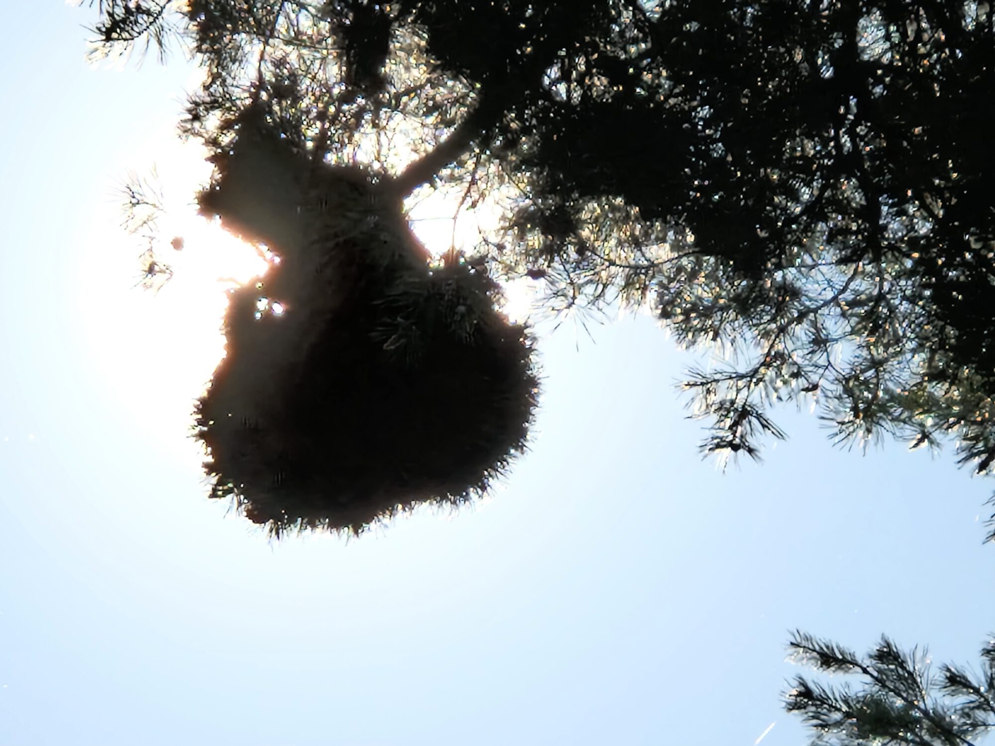 Valokuvaaja: Terhi karhuniemi