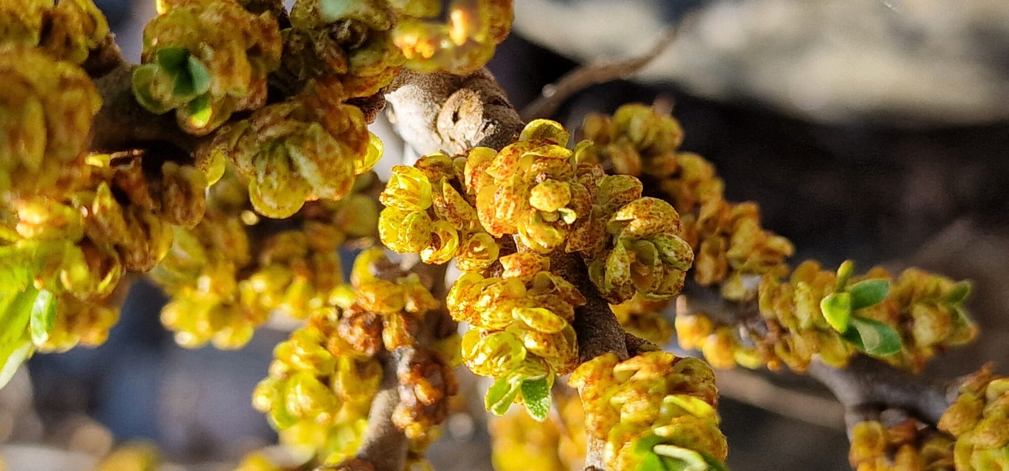 Valokuvaaja: Hanna Rönty