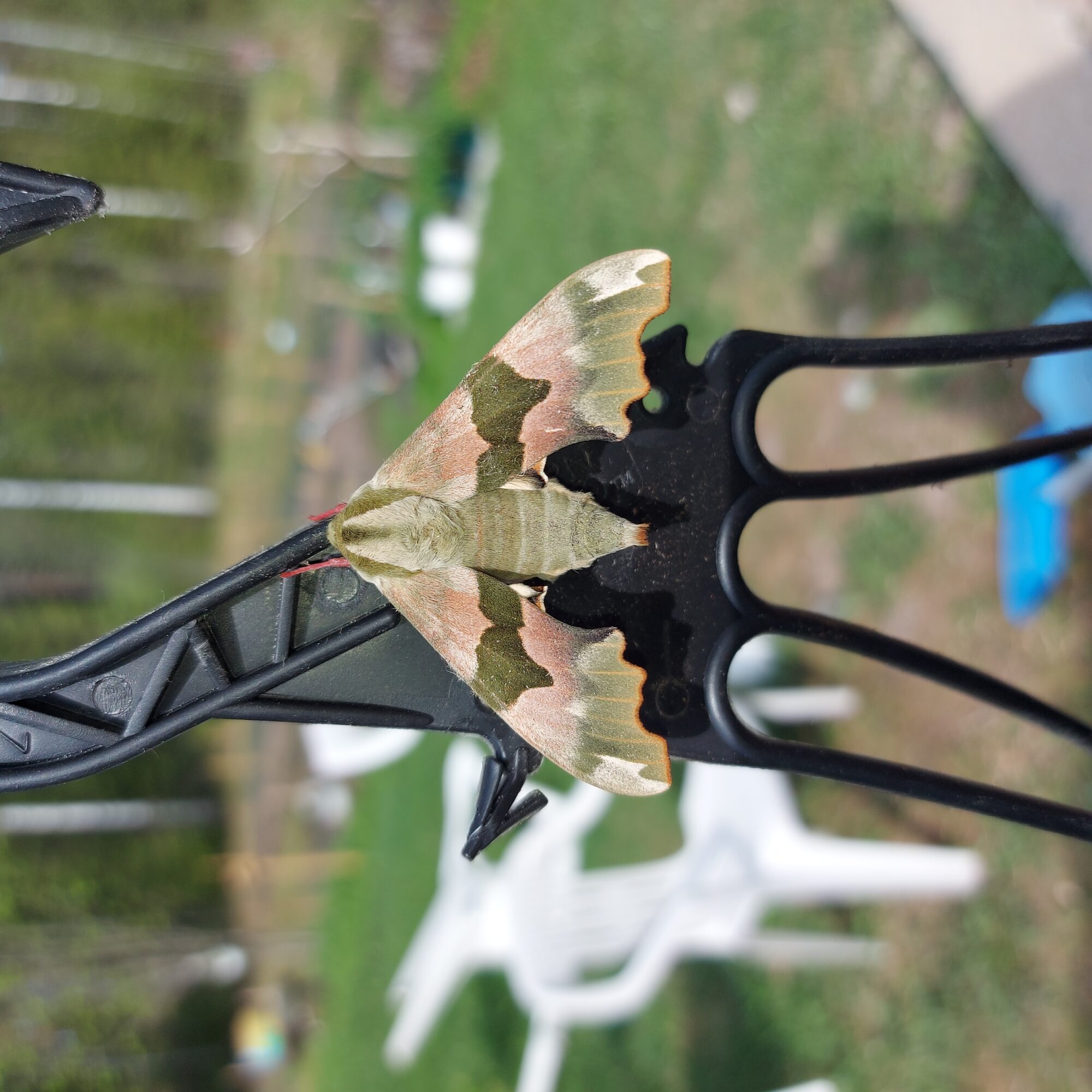 Valokuvaaja: Päivi Huuhtiainen