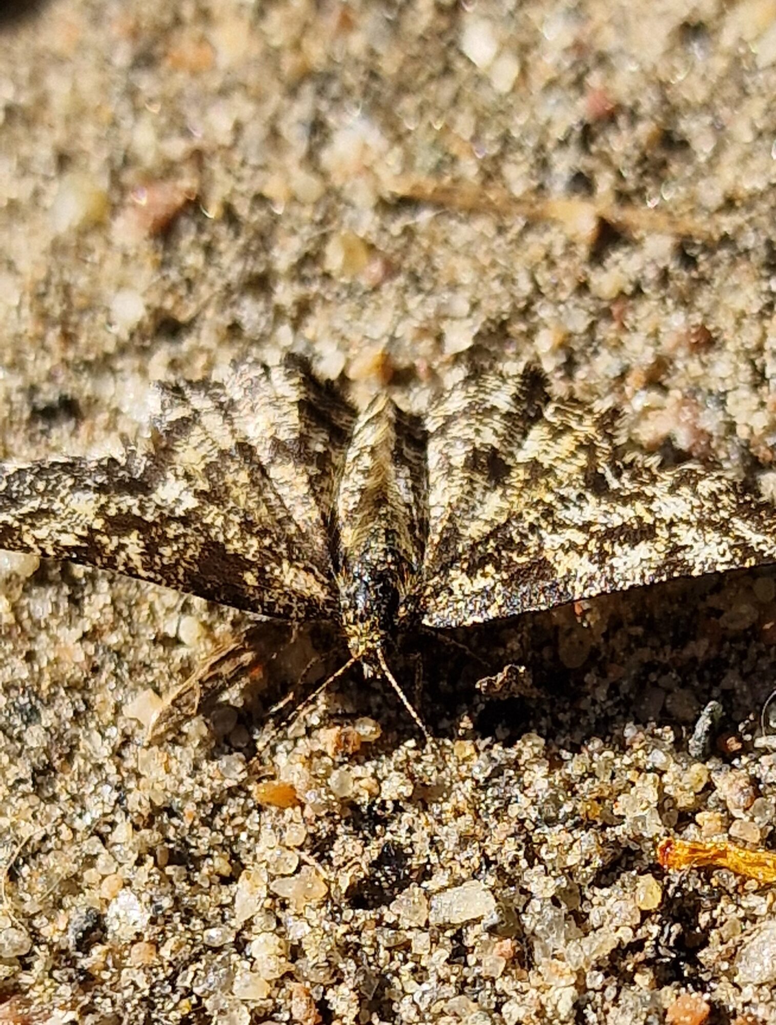 Valokuvaaja: Hanna Rönty