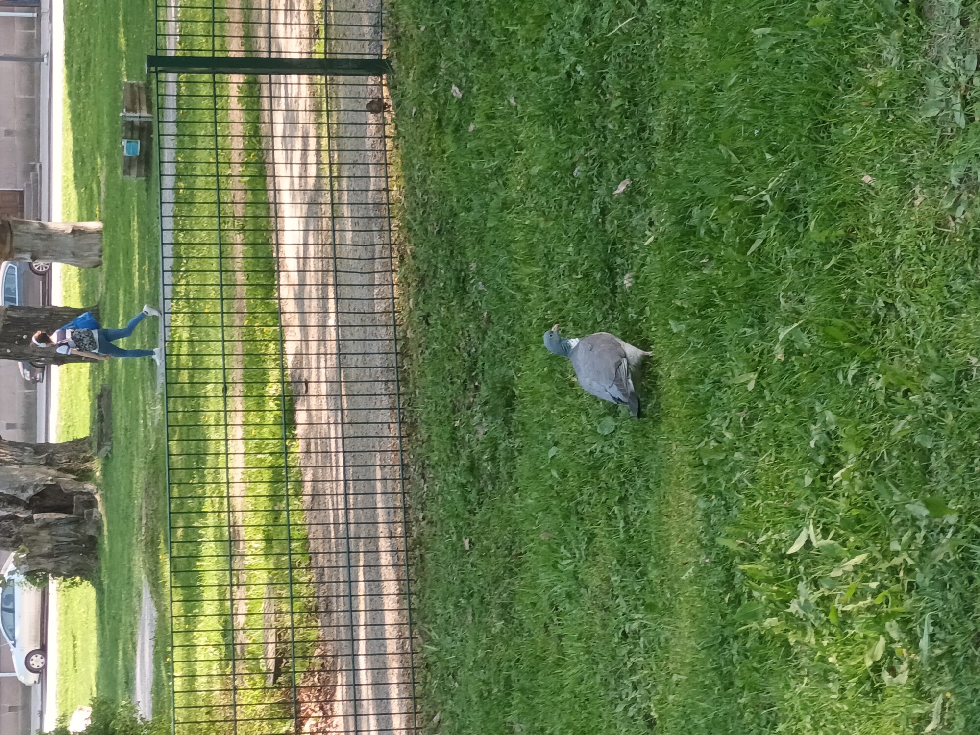 Valokuvaaja: Alvar Ilmonen Valokuvaaja: Alvar Ilmonen