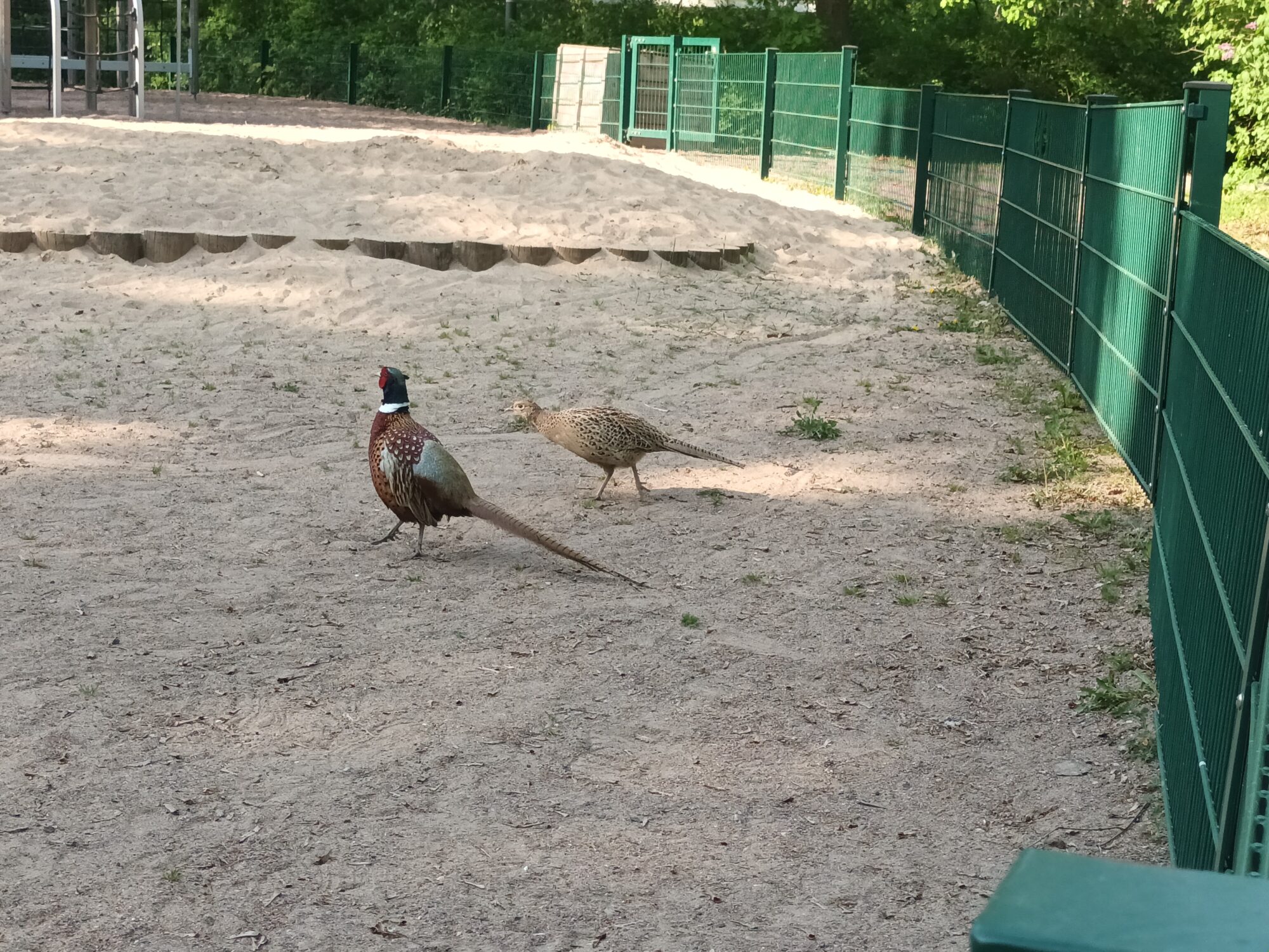 Valokuvaaja: Alvar Ilmonen