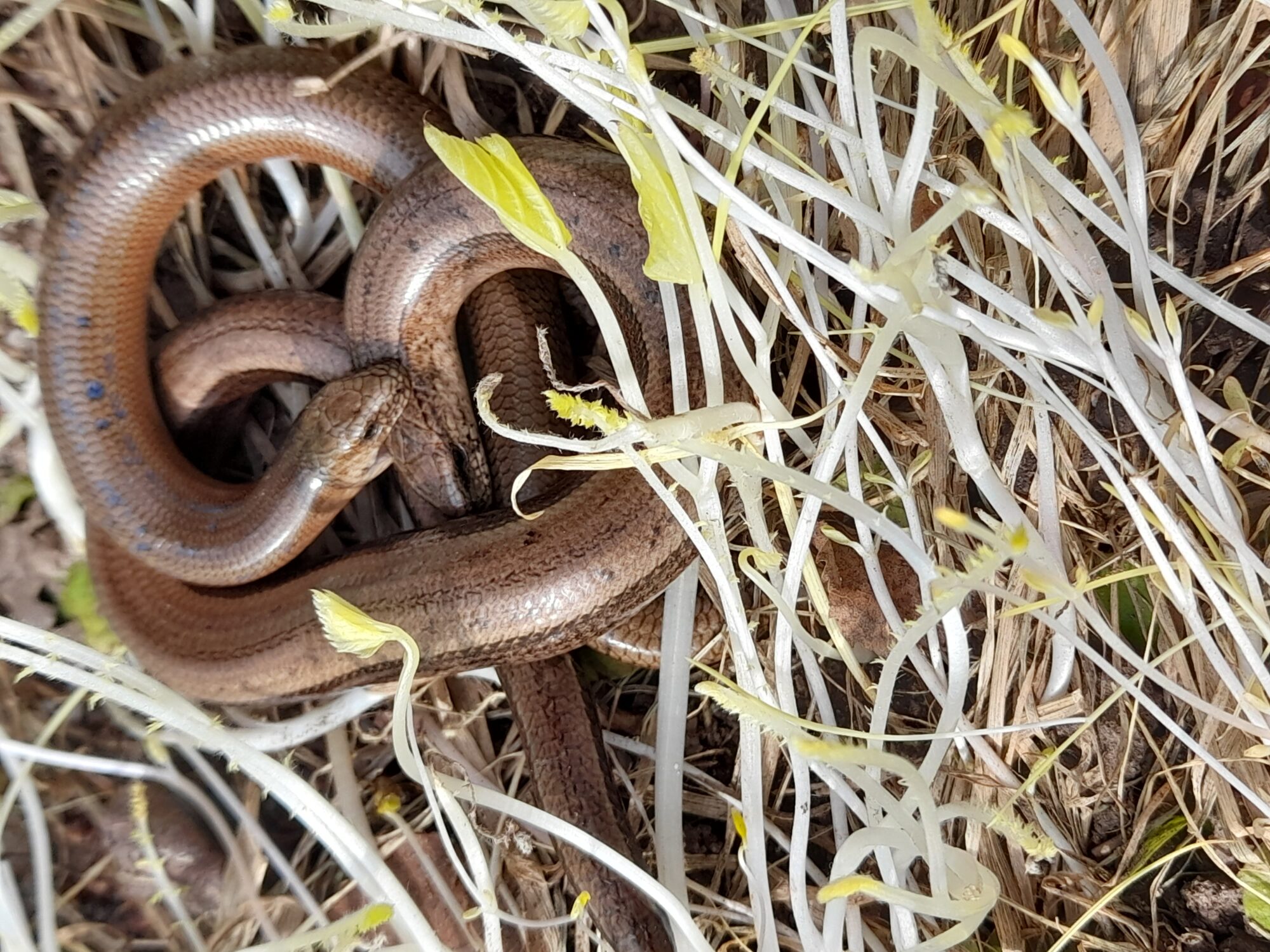 Valokuvaaja: Paula Horsma