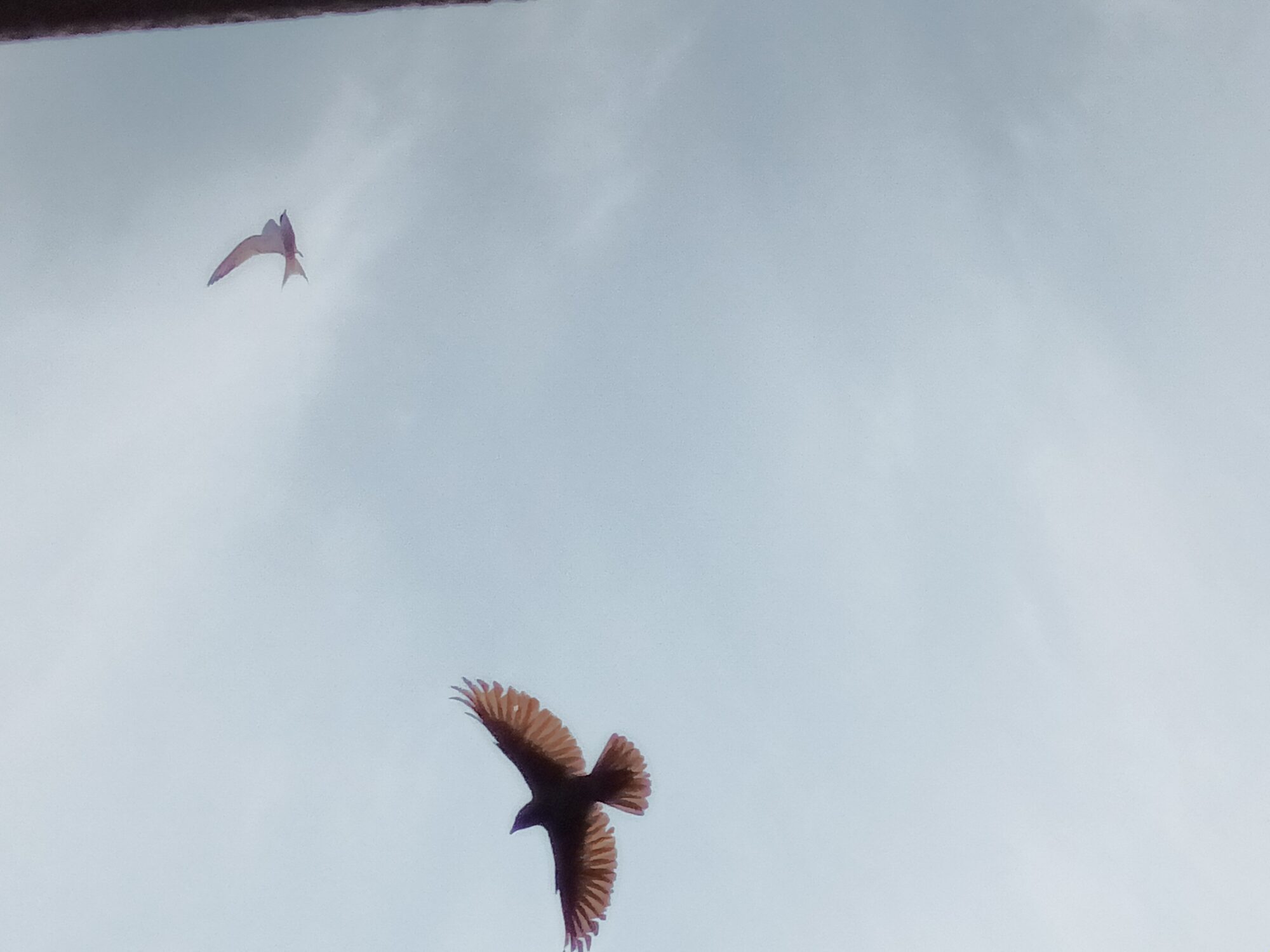 Valokuvaaja: Alvar Ilmonen