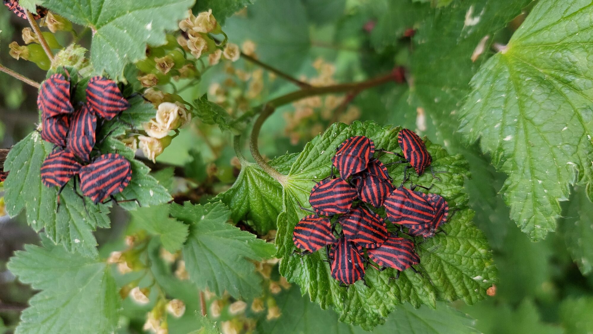 Valokuvaaja: Anne Purho