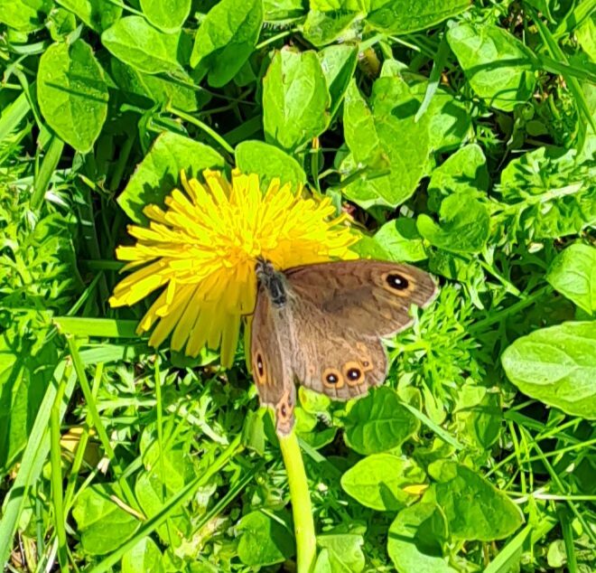 Valokuvaaja: Eija Johanna Saastamoinen