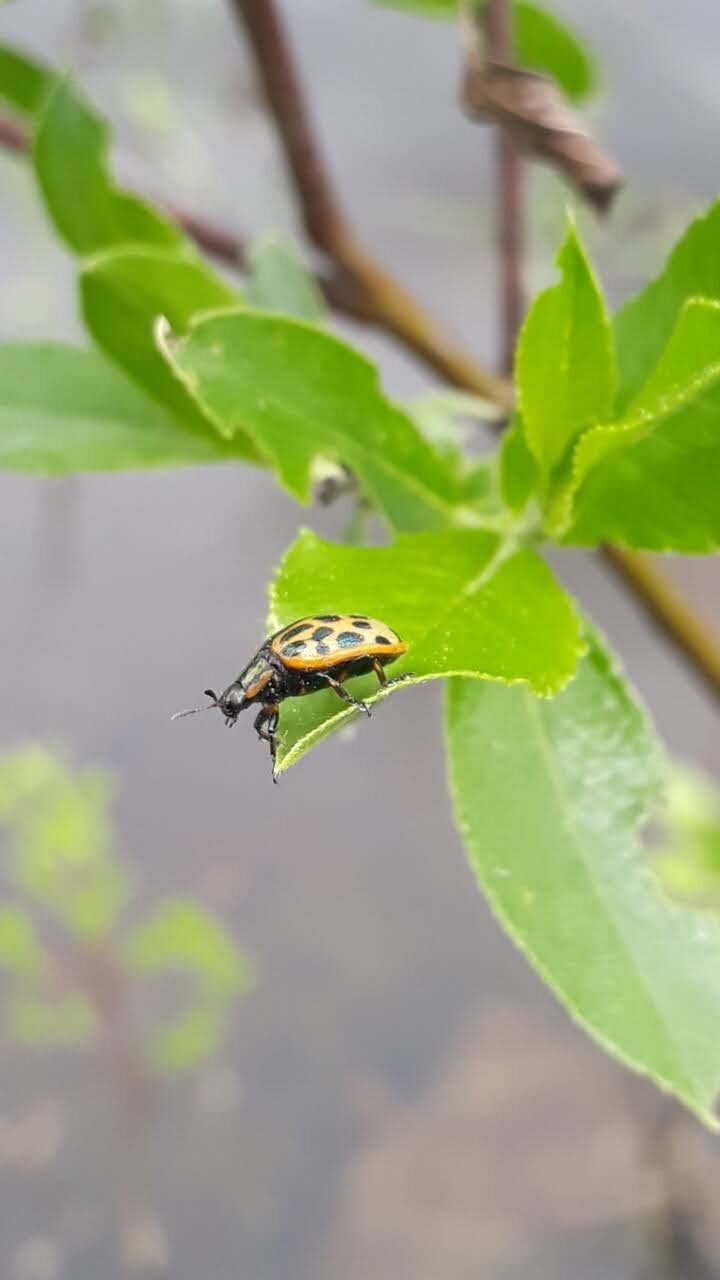 Valokuvaaja: Risto Puolakka