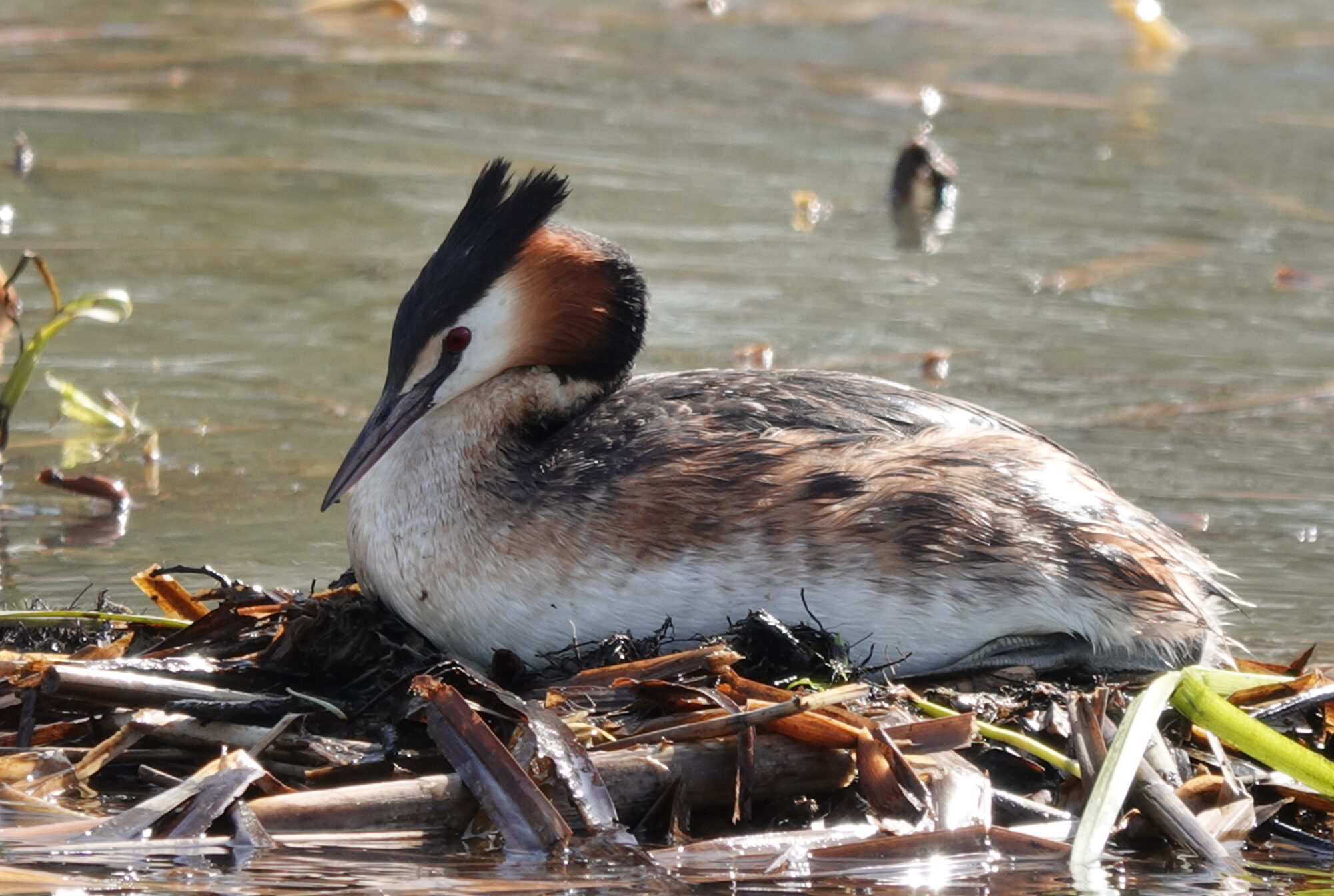 Valokuvaaja: Pekka Heino
