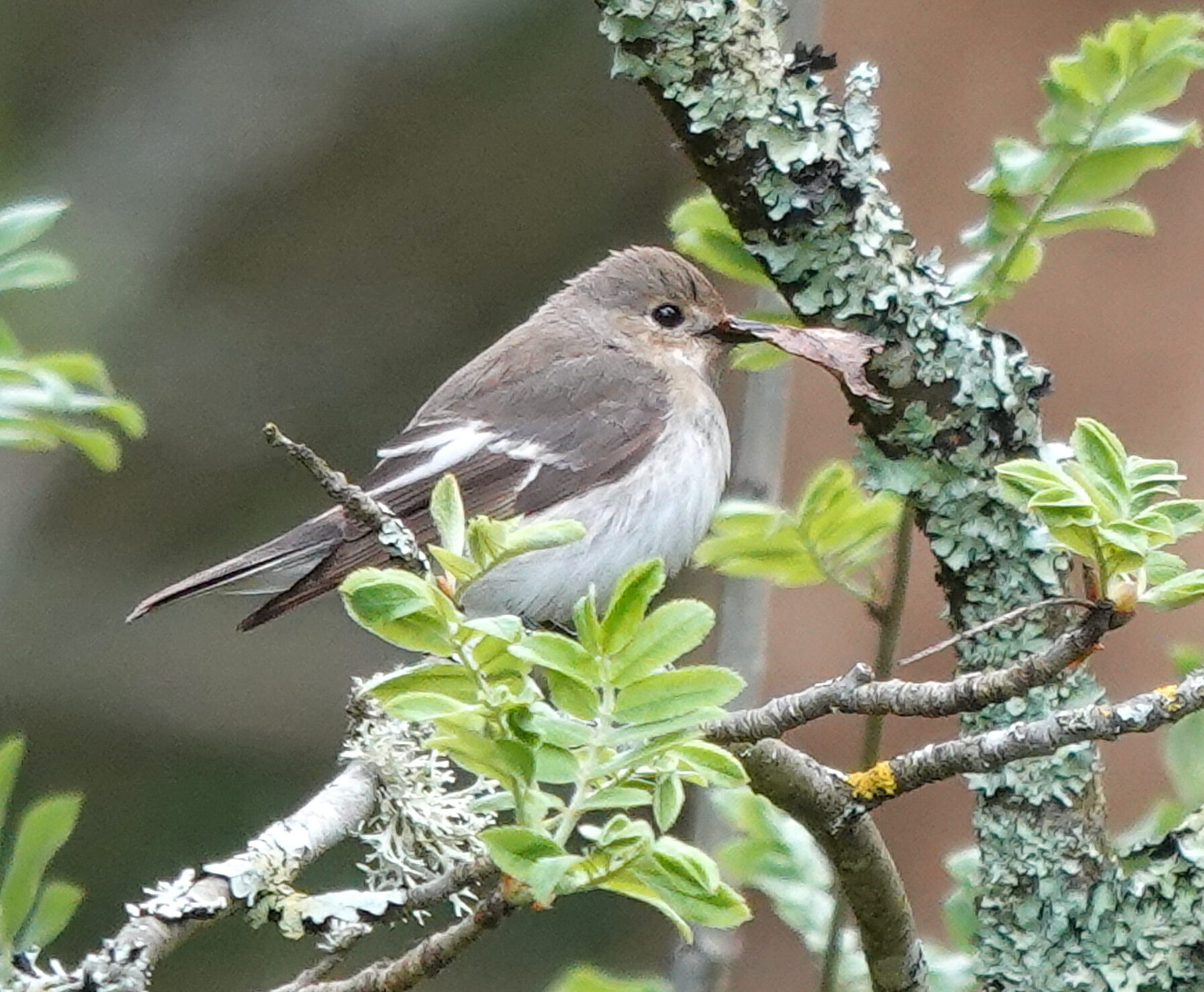 Valokuvaaja: Pekka Heino